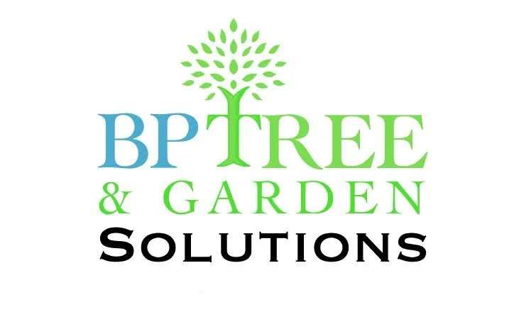 BPTreeSolutions