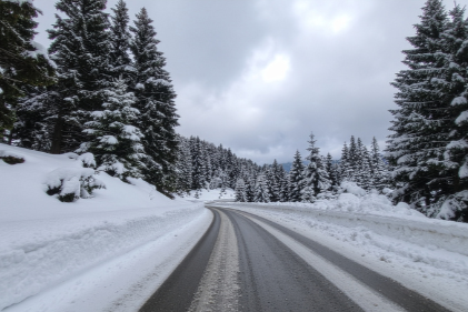 Snow-covered mountain road flanked by tall pine trees under cloudy sky.