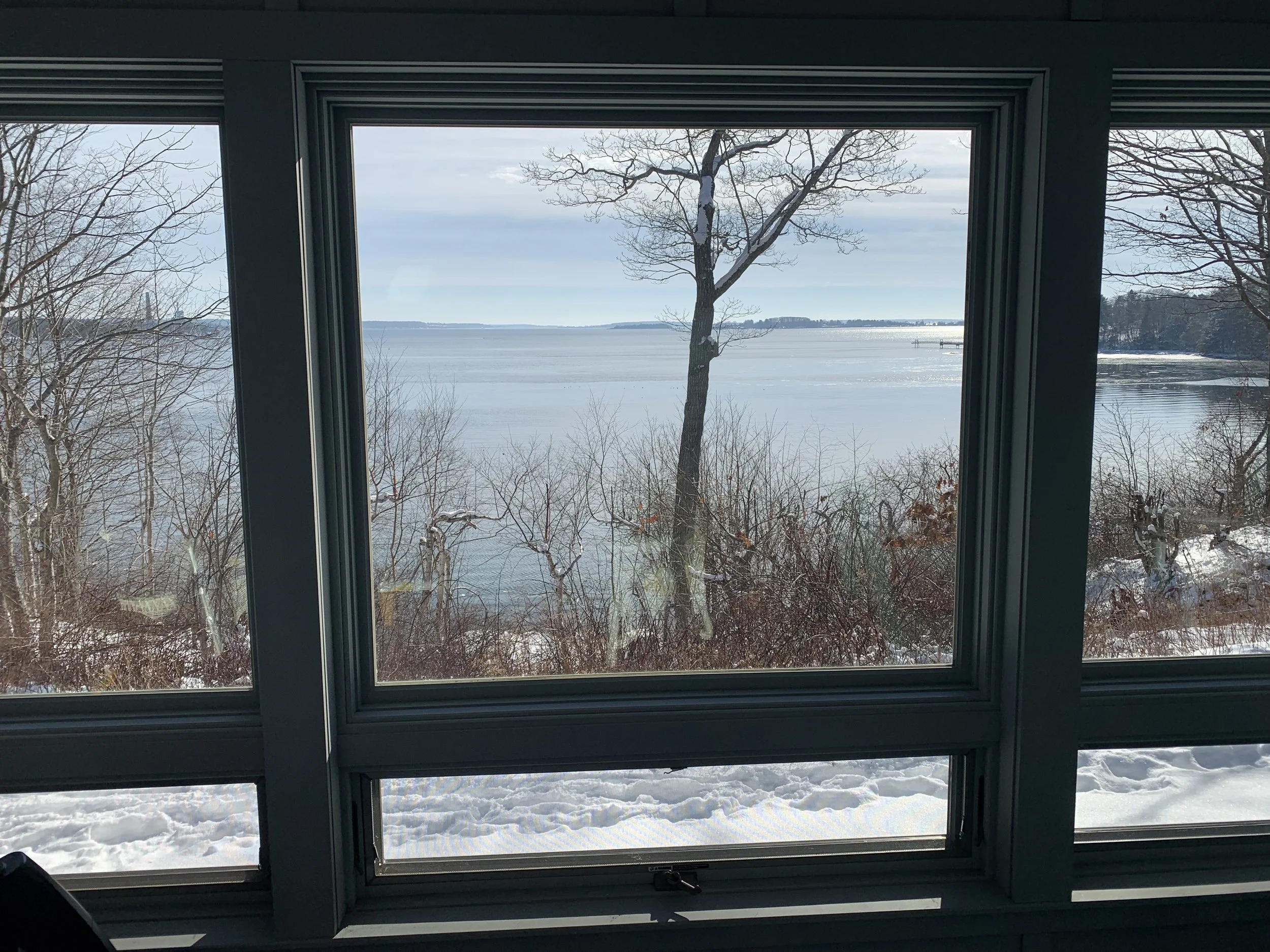 View of a snowy shoreline with bare trees and a calm body of ocean water through a large window with multiple panes