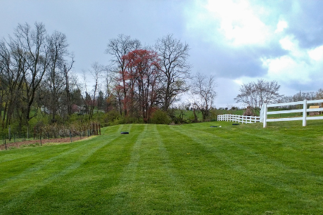 A well-maintained grassy field with trees and a white fence under a partly cloudy sky.