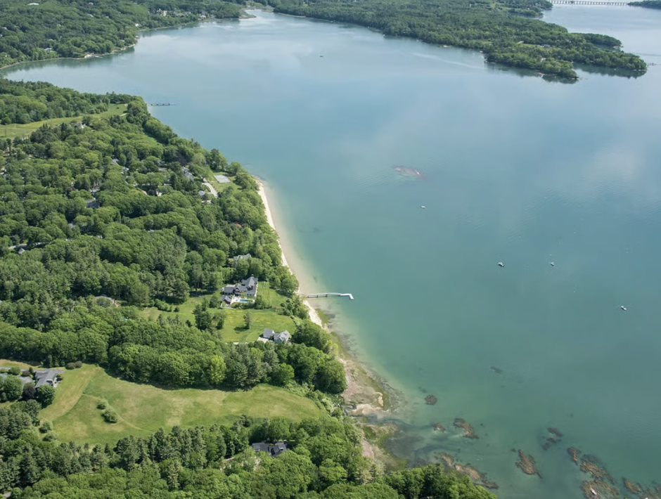 Aerial view of a lakeshore with houses and lush green trees along the coast, a sandy beach, and boats on calm water.