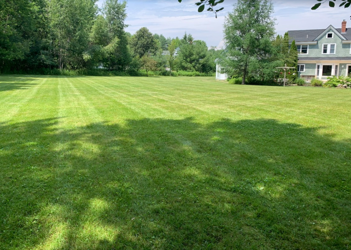 A spacious backyard with a well-maintained green lawn, trees along the perimeter, and a house with a porch and garden in the background.