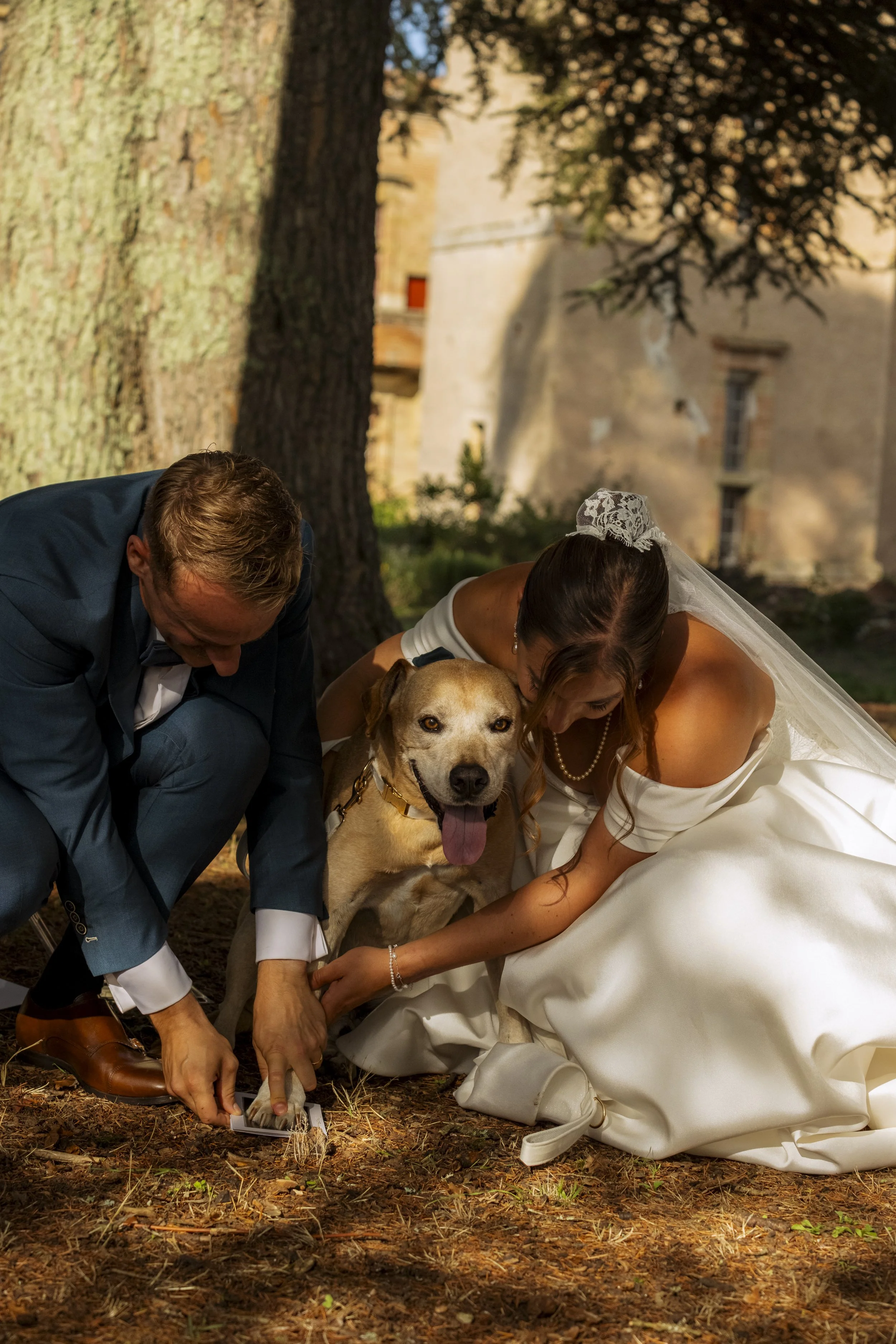 Un couple de mariés en tenue de mariage, un homme et une femme, posent avec leur chien lors d'une séance photo en plein air sous un arbre. La femme porte une robe blanche avec un voile, et l'homme porte un costume bleu. Ils semblent signer un contrat ou remplir un document sur le sol forestier.