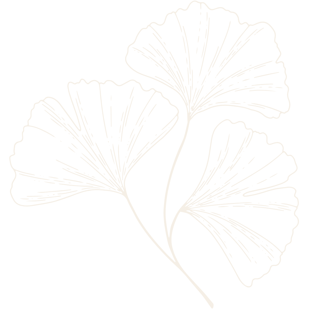 Illustration en noir et blanc de trois feuilles de ginkgo stylisées, avec des nervures détaillées, sur fond noir.