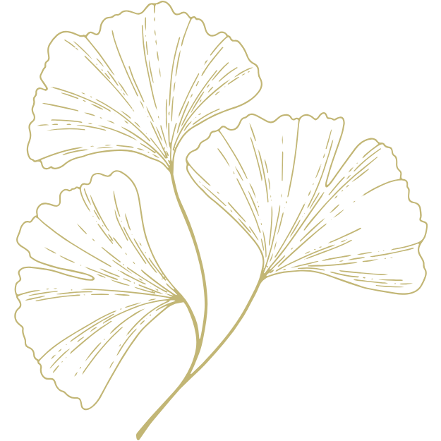 Feuilles de ginkgo en or sur fond noir.