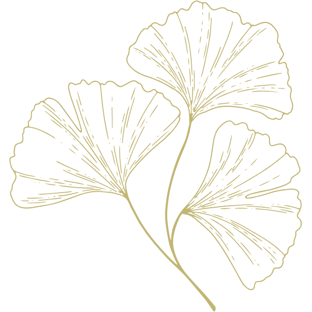 Dessins de feuilles stylisées dorées sur fond noir.