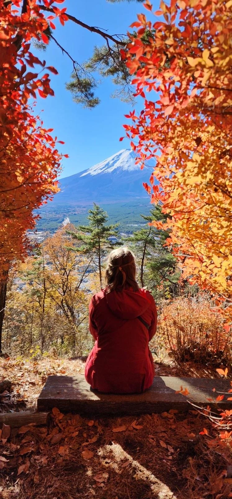 A woman in a red jacket sitting on a wooden bench surrounded by fall foliage, with Mount Fuji snow-capped in the distance under a clear blue sky.