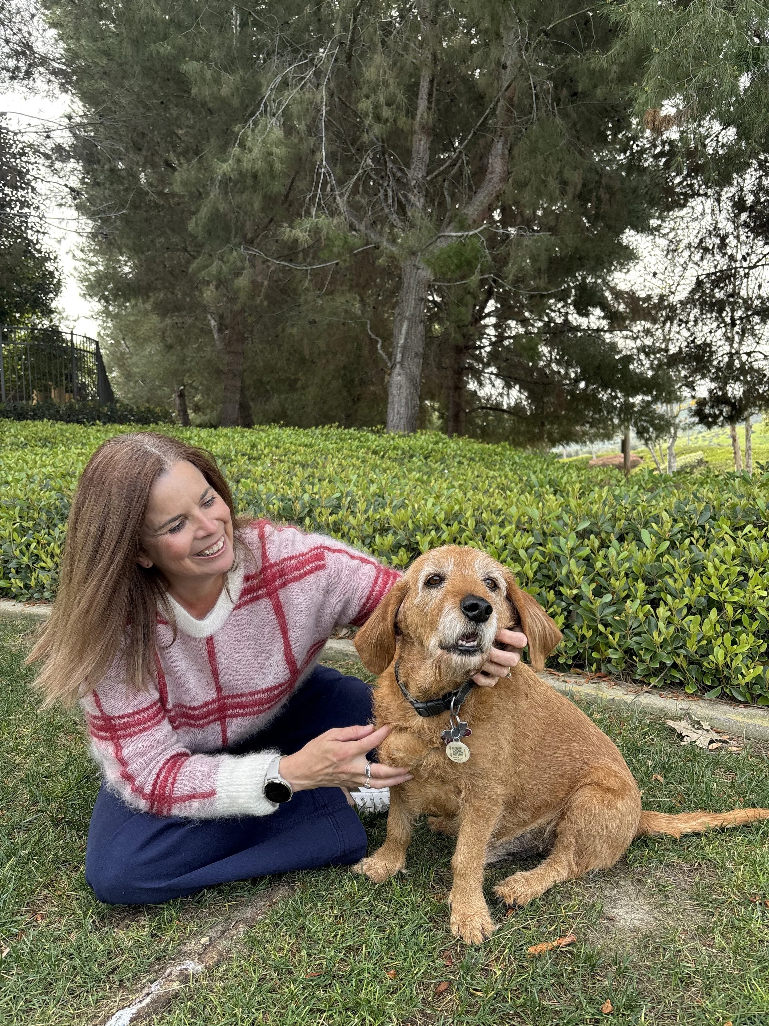 A woman smiling and petting a brown dog with a name tag, sitting on grass in a park with trees and bushes in the background.