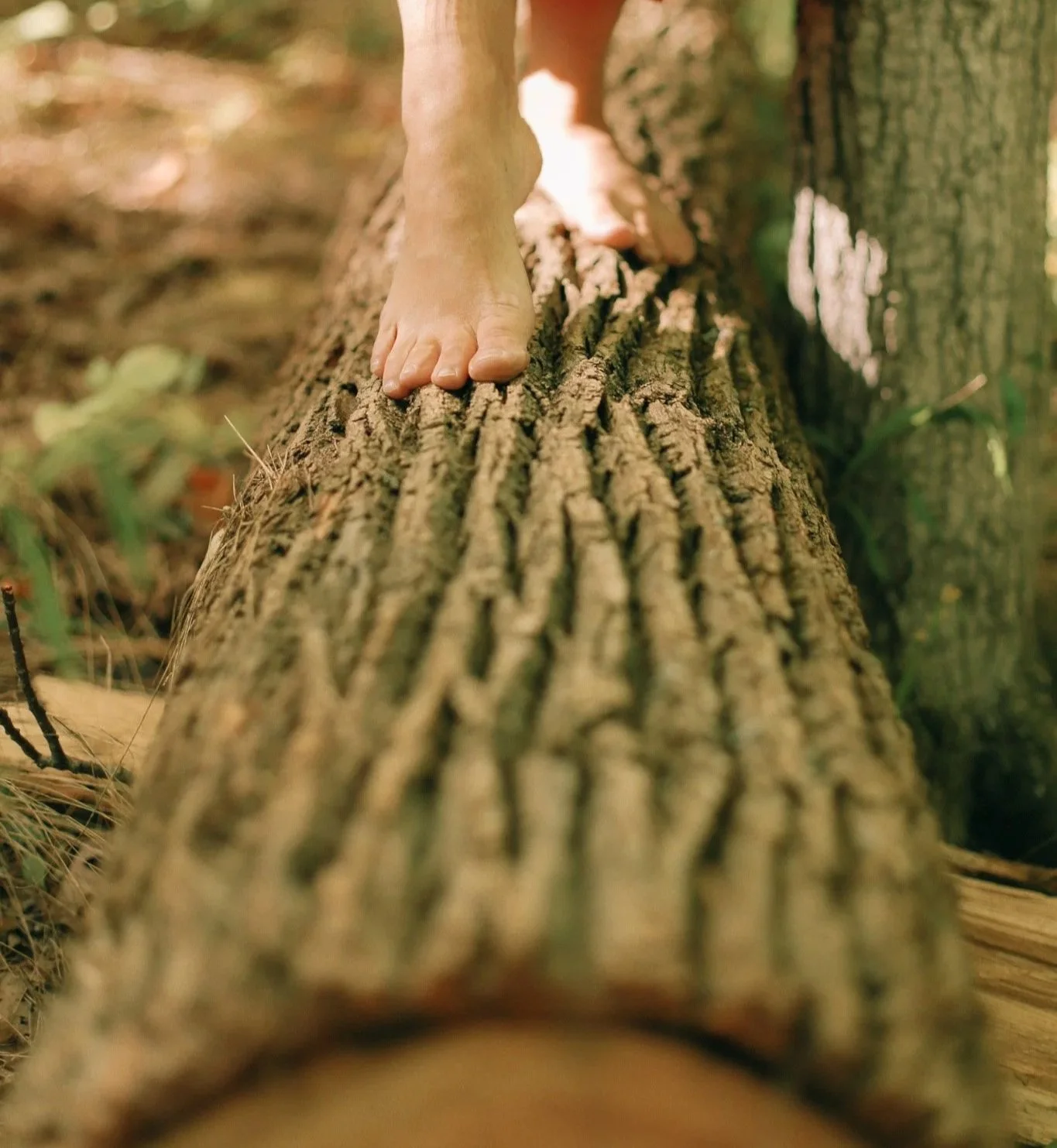 Bare feet balancing on a fallen tree trunk in a sunlit forest