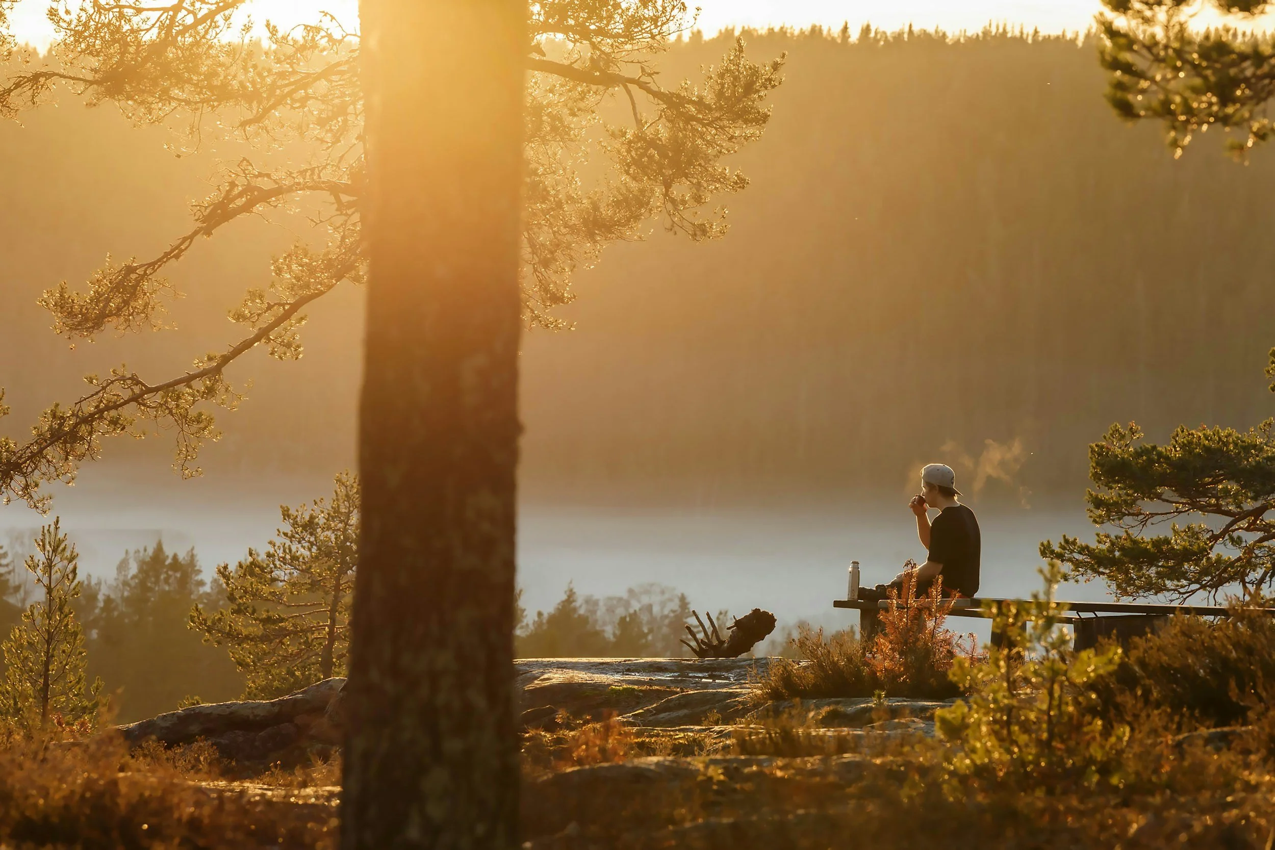 Person sitting on a mountain overlook amid pine trees, bathed in golden sunset light holding a cup of coffee