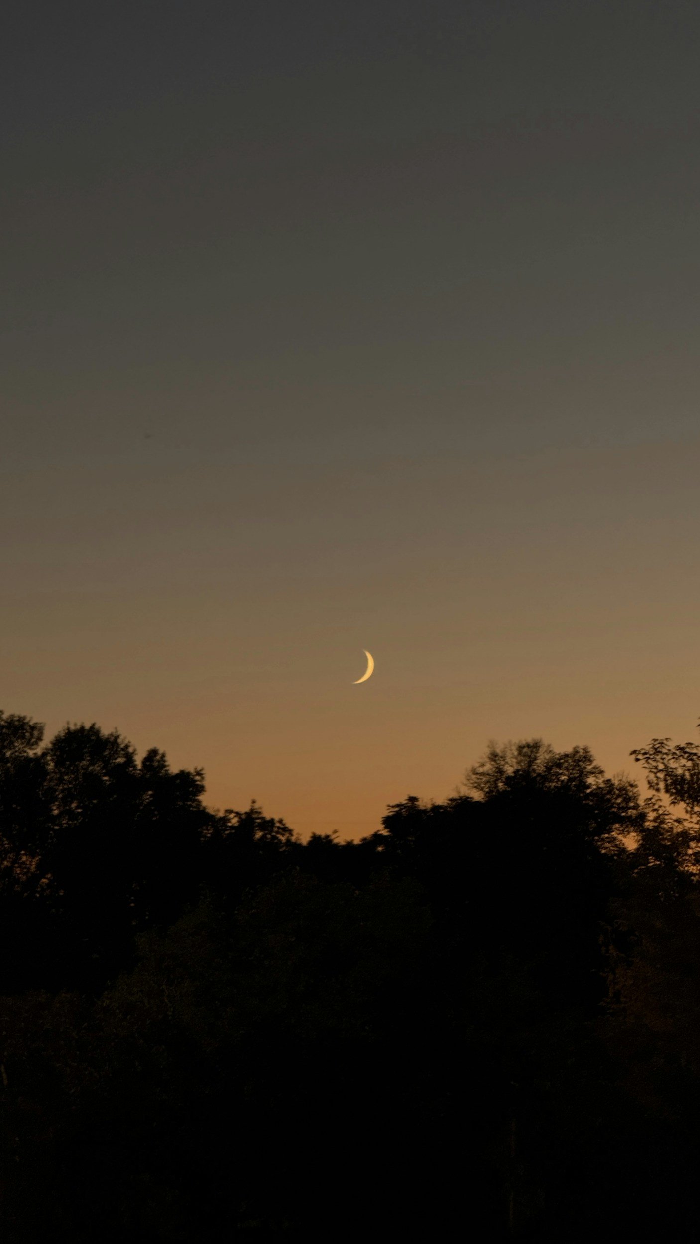 Crescent moon glowing over silhouetted trees at dusk