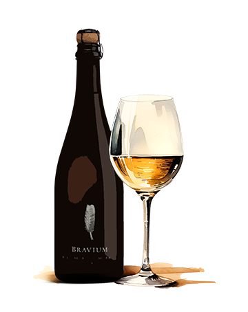 Bravium Wine Dinner