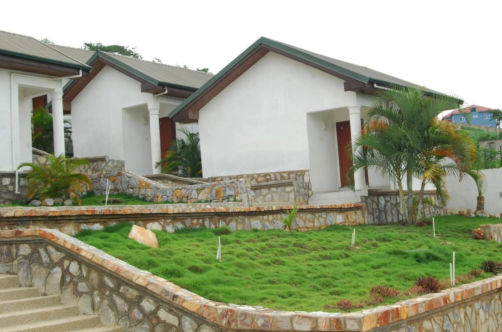 Double Standard Room