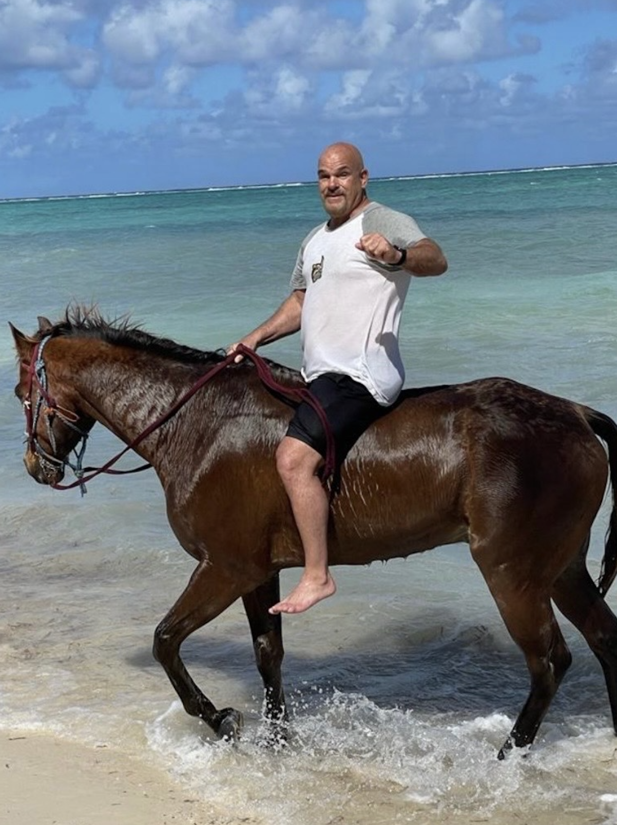 Chuck and Horse 2.png