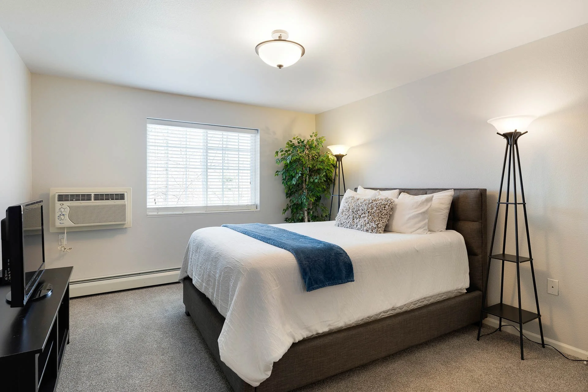 A bedroom with a bed covered in white bedding and decorative pillows, a window with blinds, a potted plant, two tall floor lamps, and a TV on a black stand.