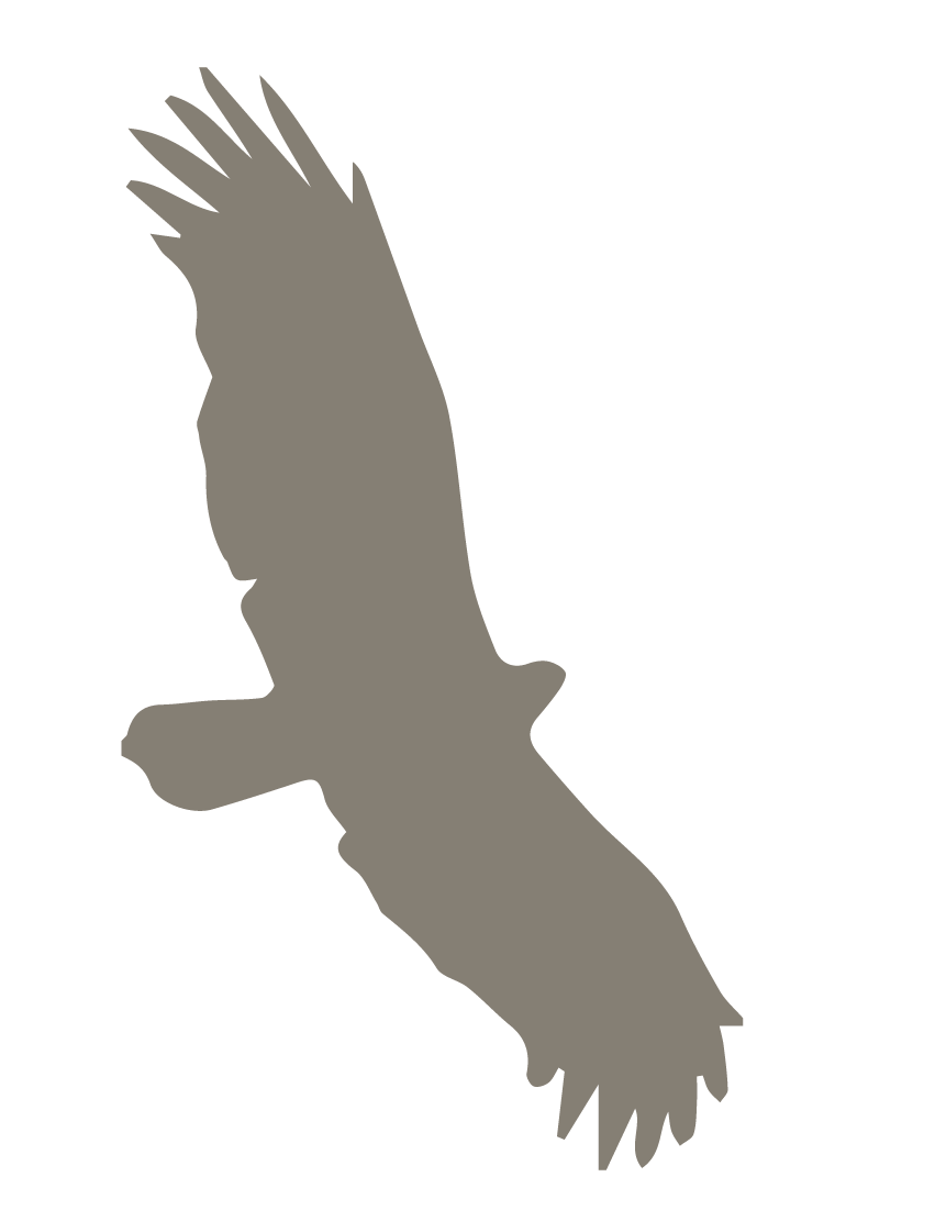 Silhouette of an eagle with its wings spread, facing to the right against a black background.
