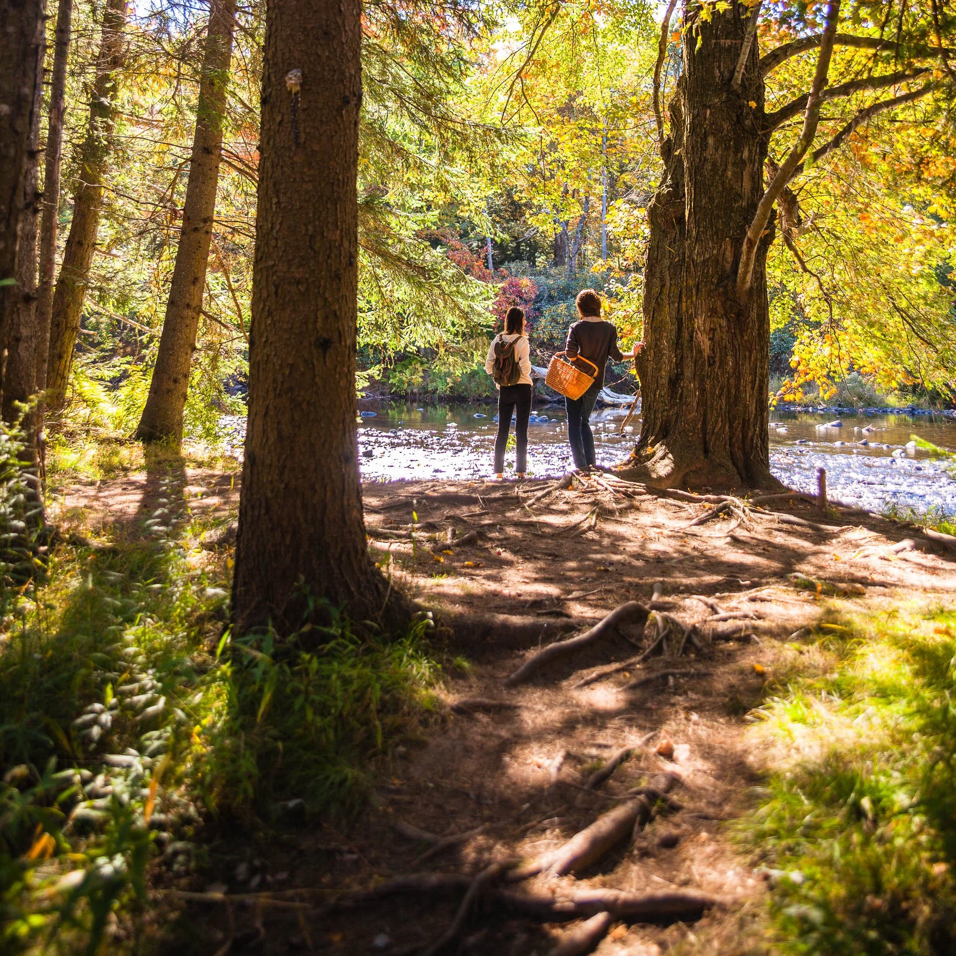 Two people stand by a river in a forest, one with a backpack and the other with a basket, surrounded by tall trees and autumn foliage.