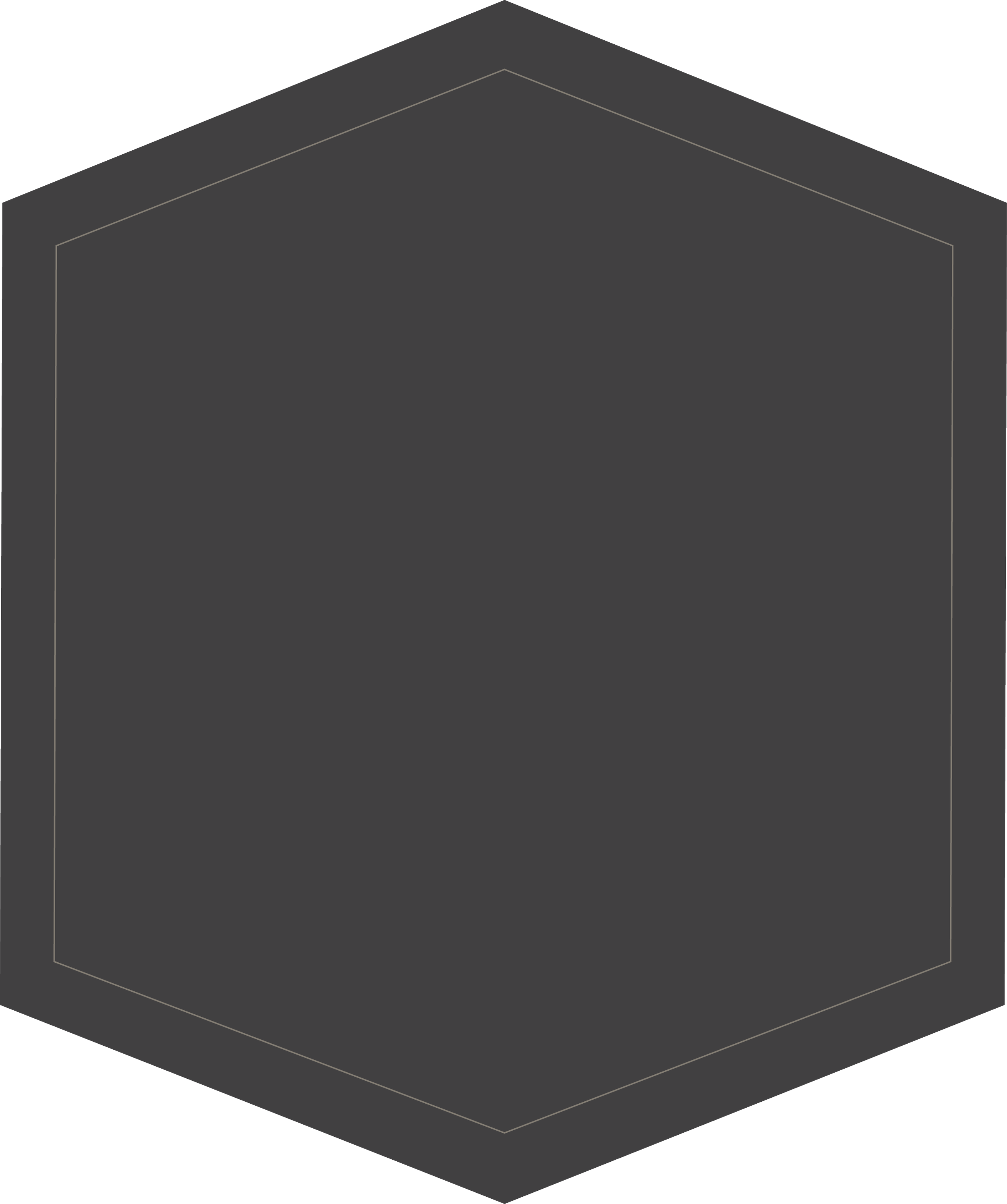 A 3D abstract geometric shape with a hexagonal structure, dark grey color, and subtle outlines on the edges.