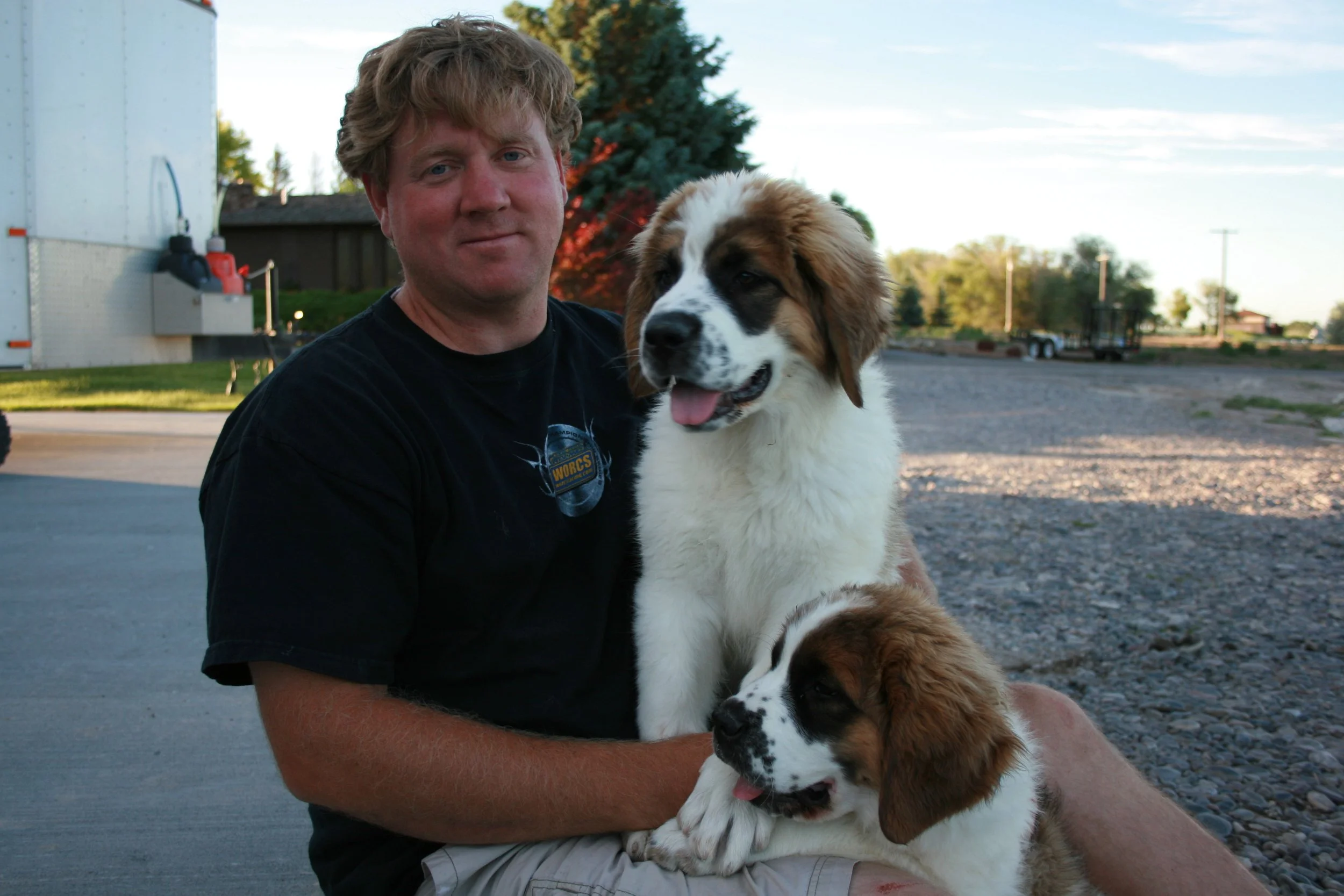 A man sitting outdoors at sunset, holding two large Saint Bernard puppies, with trees and a gravel area in the background.