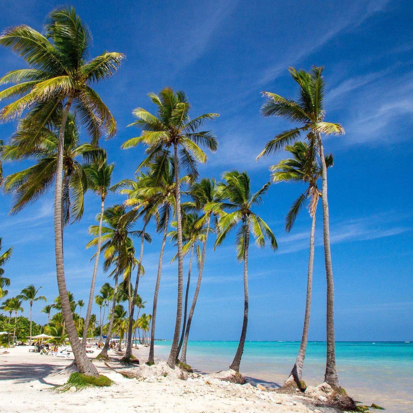 51882164948_dd7cfdf78d_k (1).jpeg