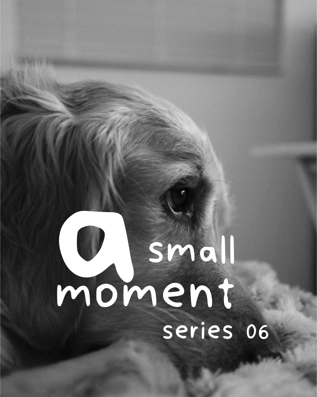 a small moment. | series 06
