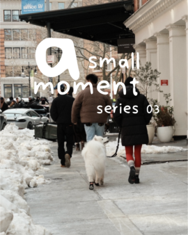 A_Small_Moment_Series_-_03.png