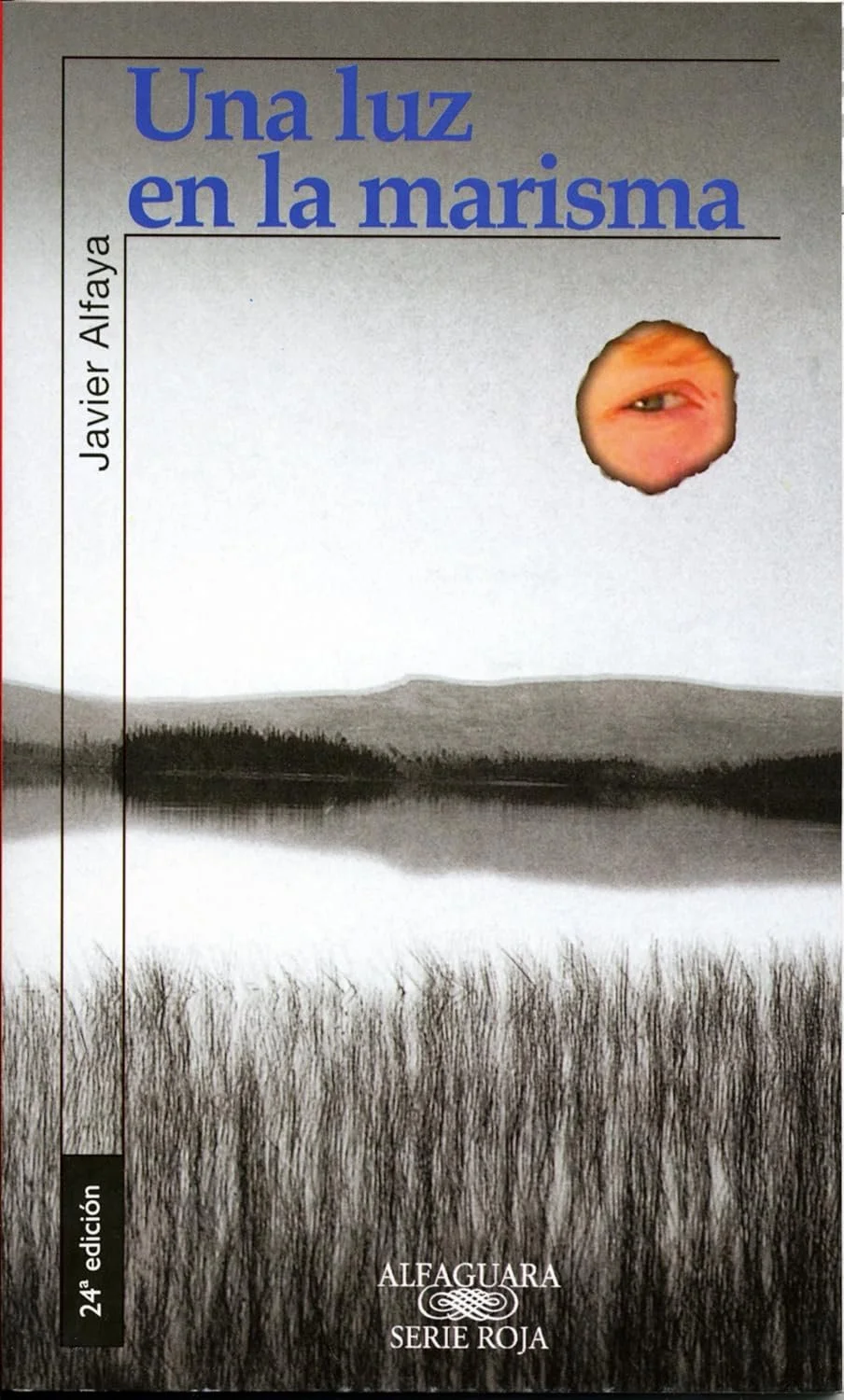 UNA LUZ EN LA MARISMA | A2-B1.
   
A mystery novel set in the south of Spain, where a crime leads a group of young characters to uncover secrets and search for the truth. 

Simple language, suspense, and cultural elements.