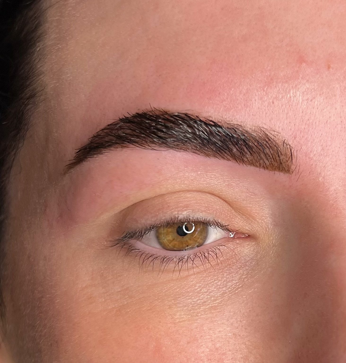 Close-up of a person's eye and brow with well-groomed eyebrows, hazel iris, and natural skin texture.