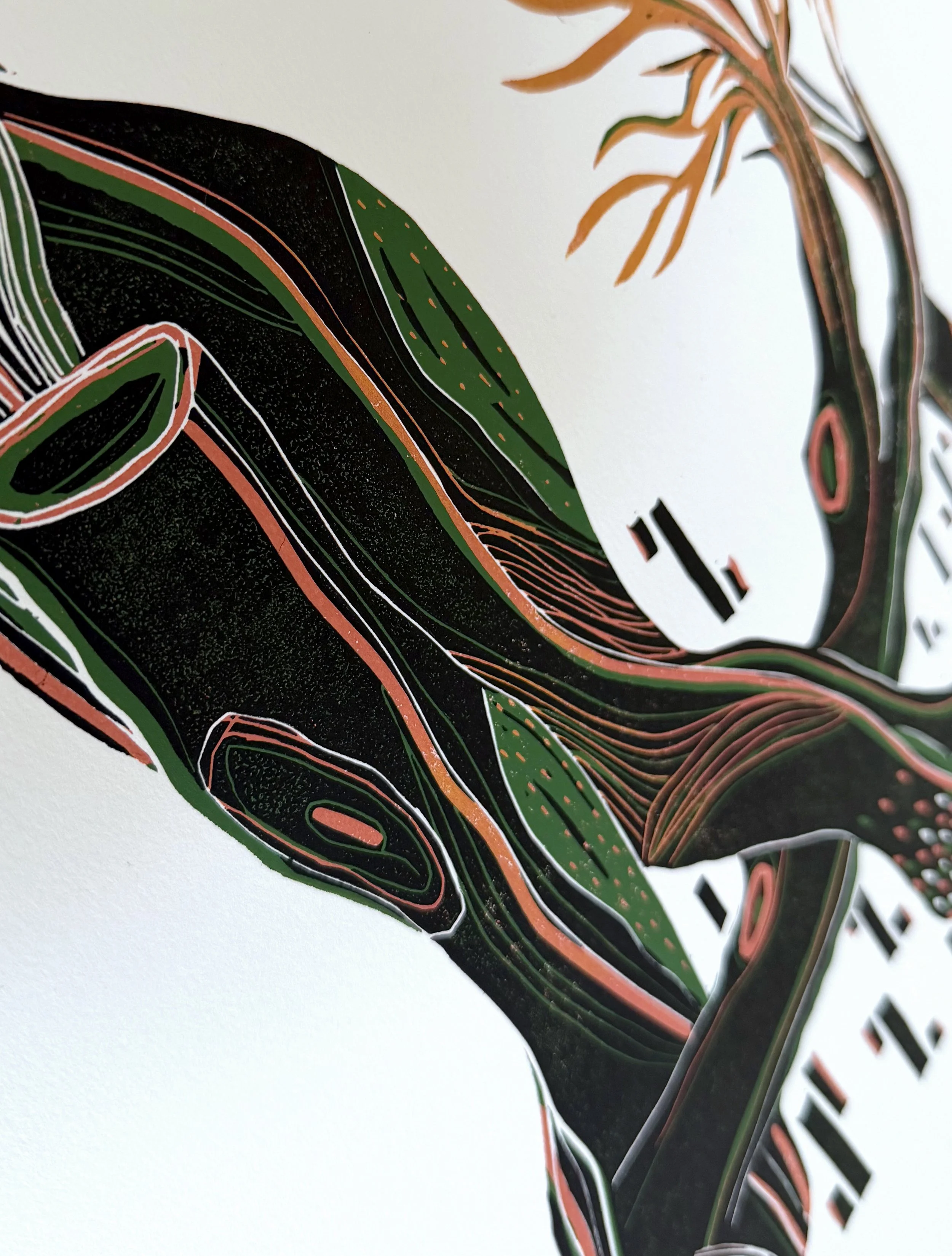 wwdetail2.jpg