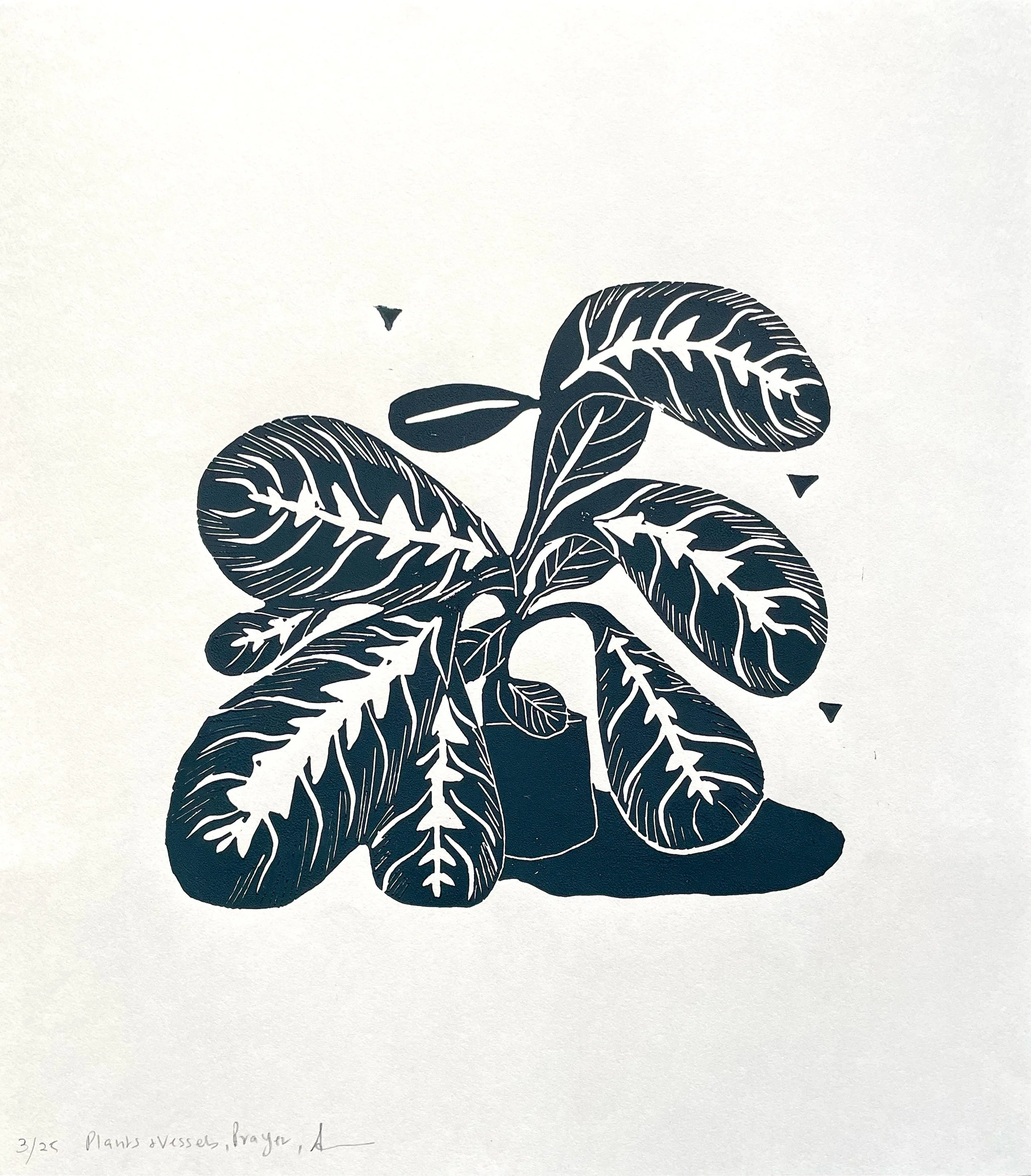 Plants & Vessels Prayer