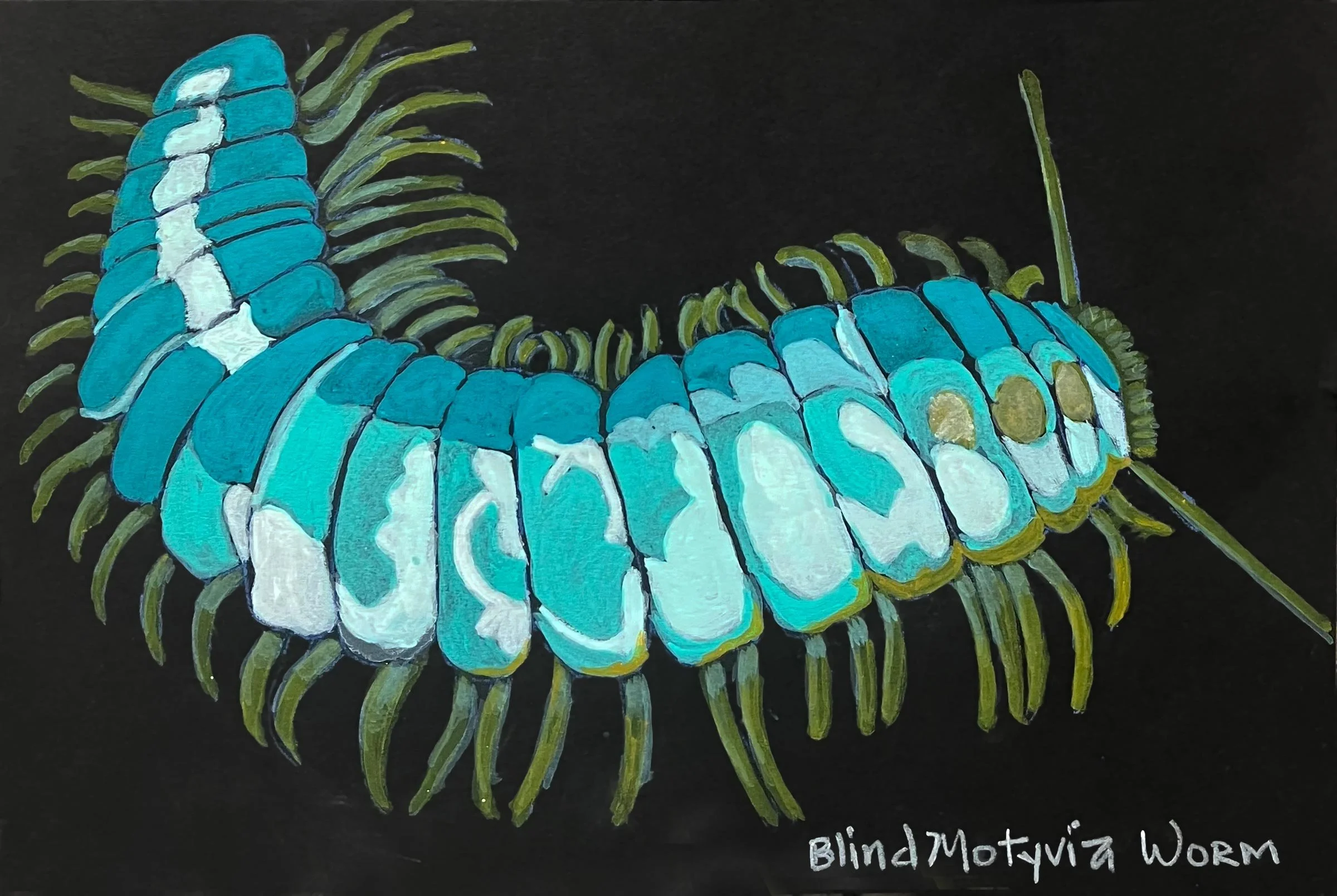  Blind Motyvia Worm 