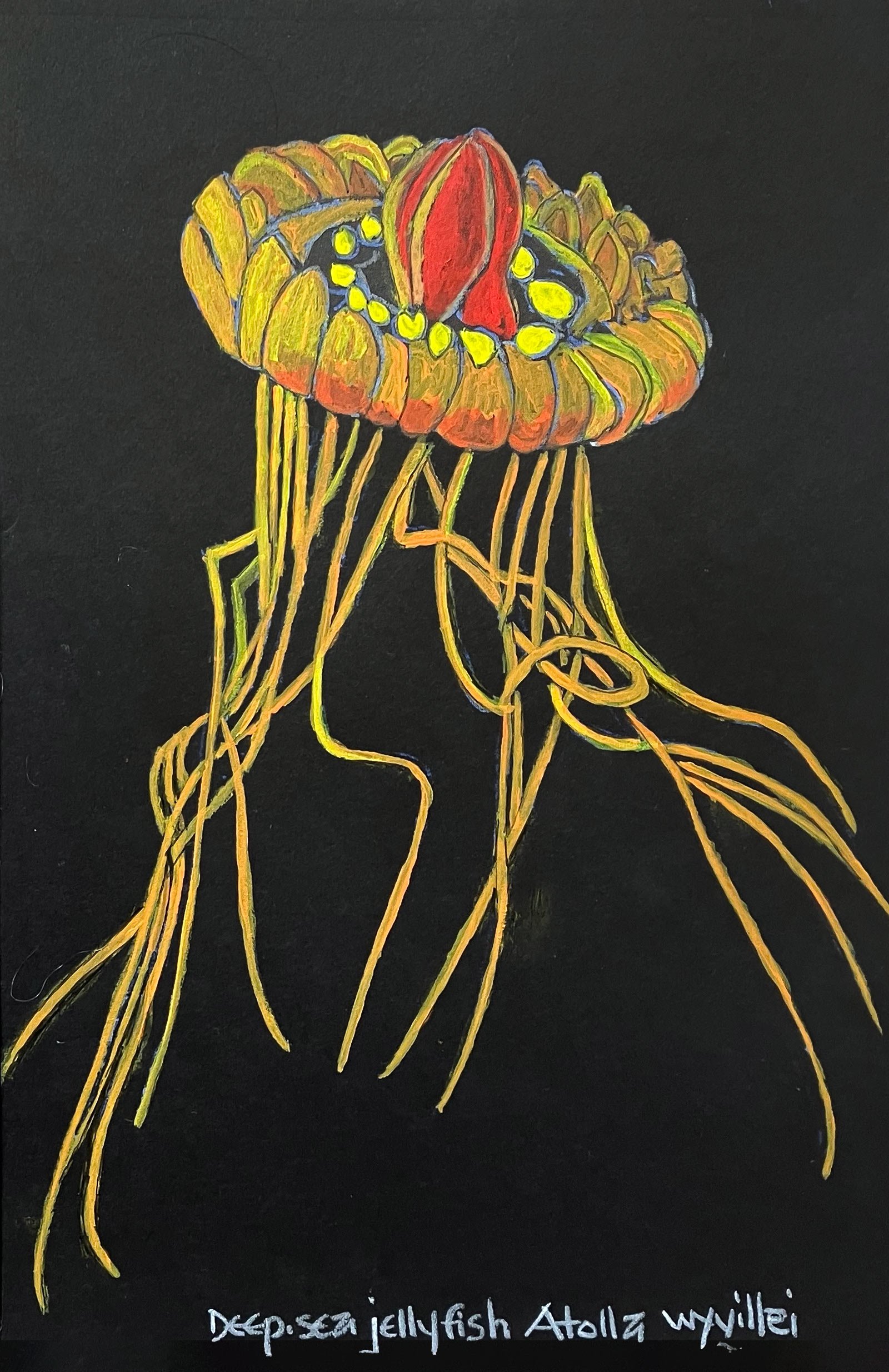  Deepsea Jellyfish Atolla Wyvillei 