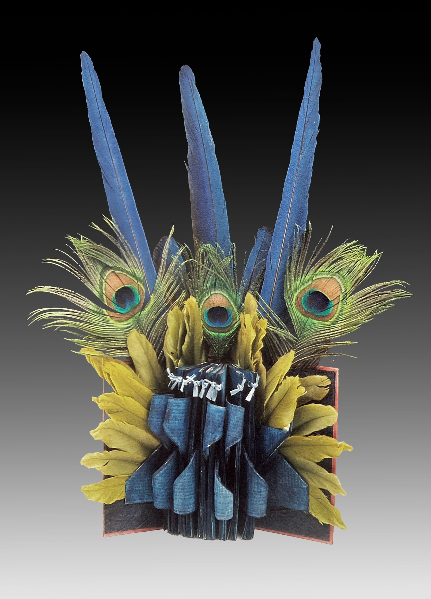 The Peacock Sheds Its Tail
