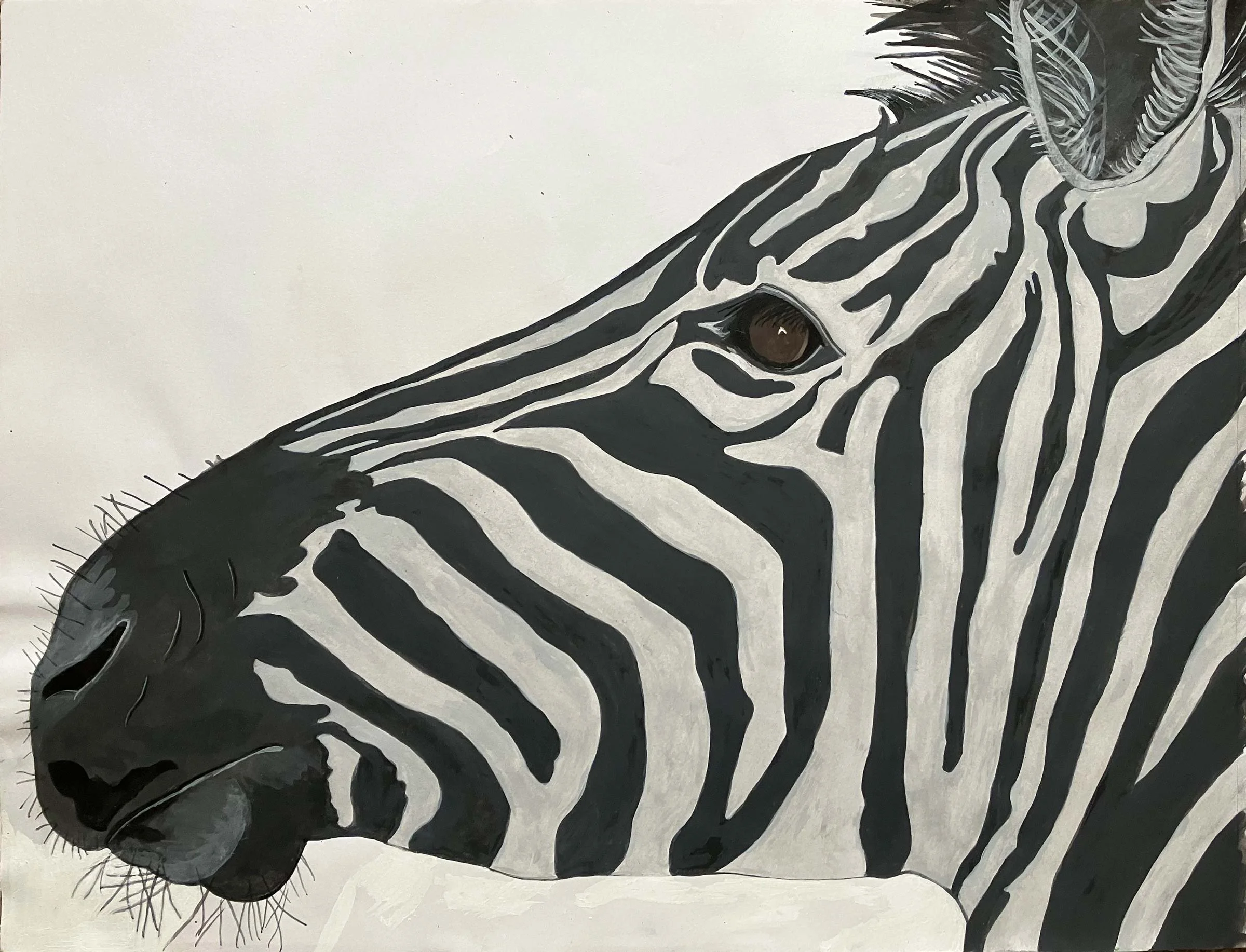 Zebra