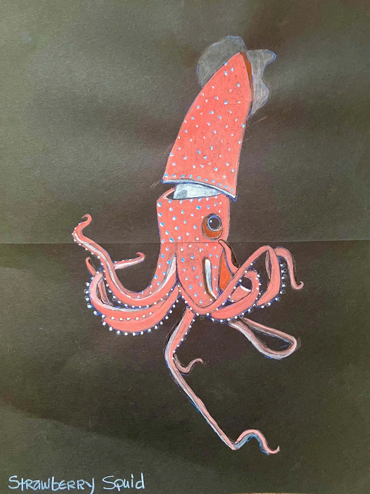  Strawberry Squid 
