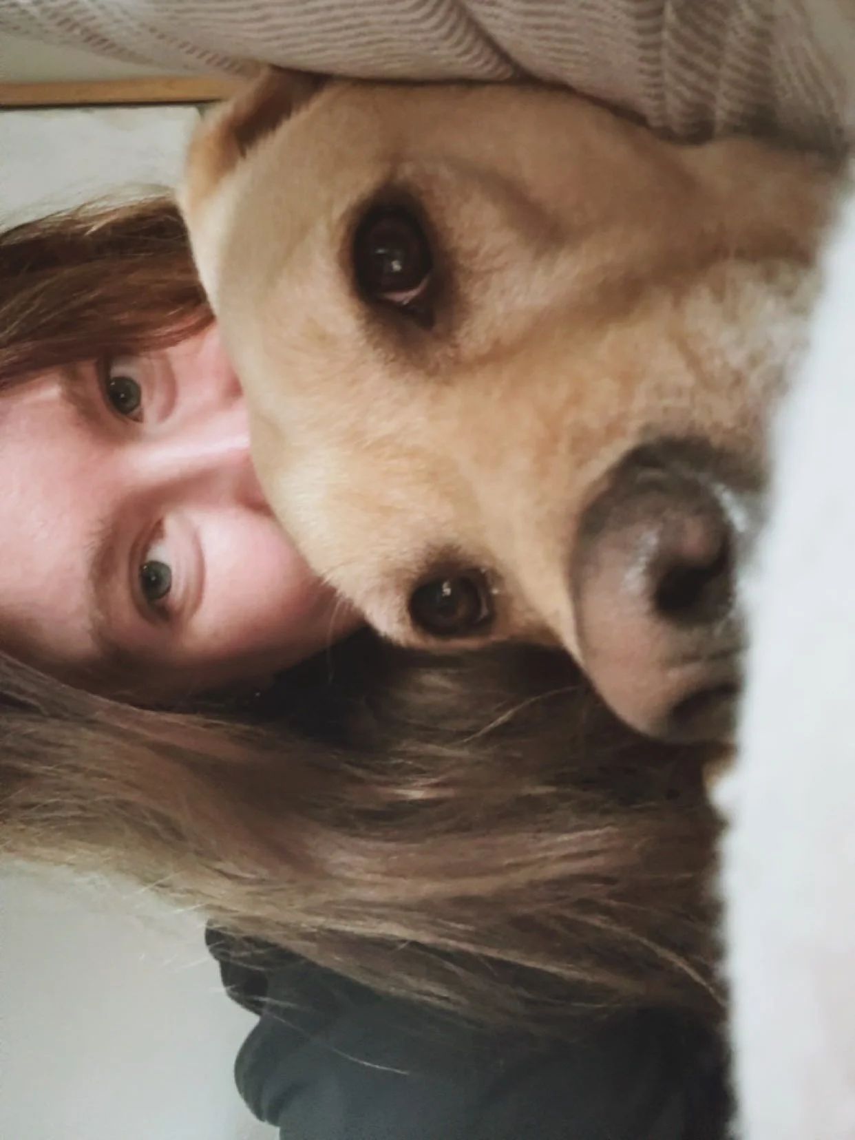 life lately; chronic illness edition

i&rsquo;ve been super quiet on here because honestly, i&rsquo;ve just been trying to survive it all. i&rsquo;ve dealt with chronic health issues my whole life, but over the past year or two things have gotten sig