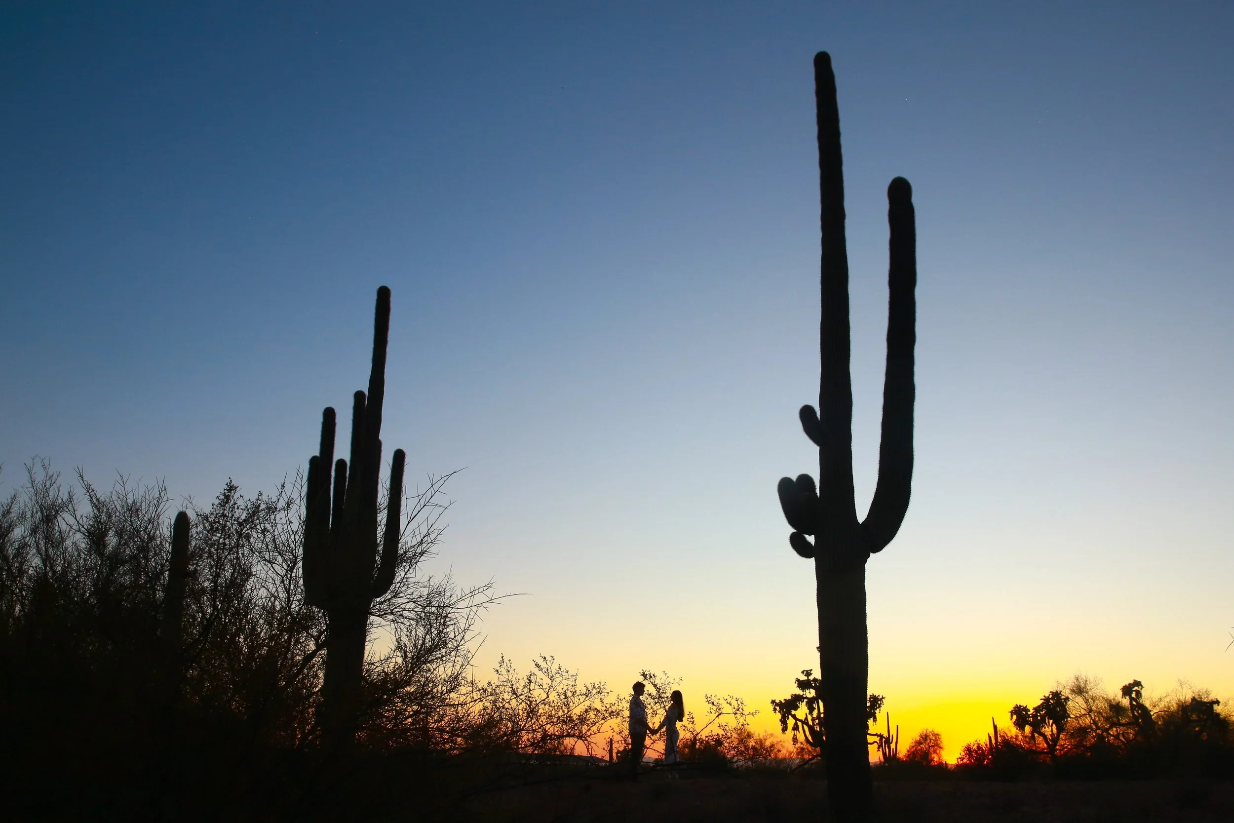 Wedding Photography Favorites