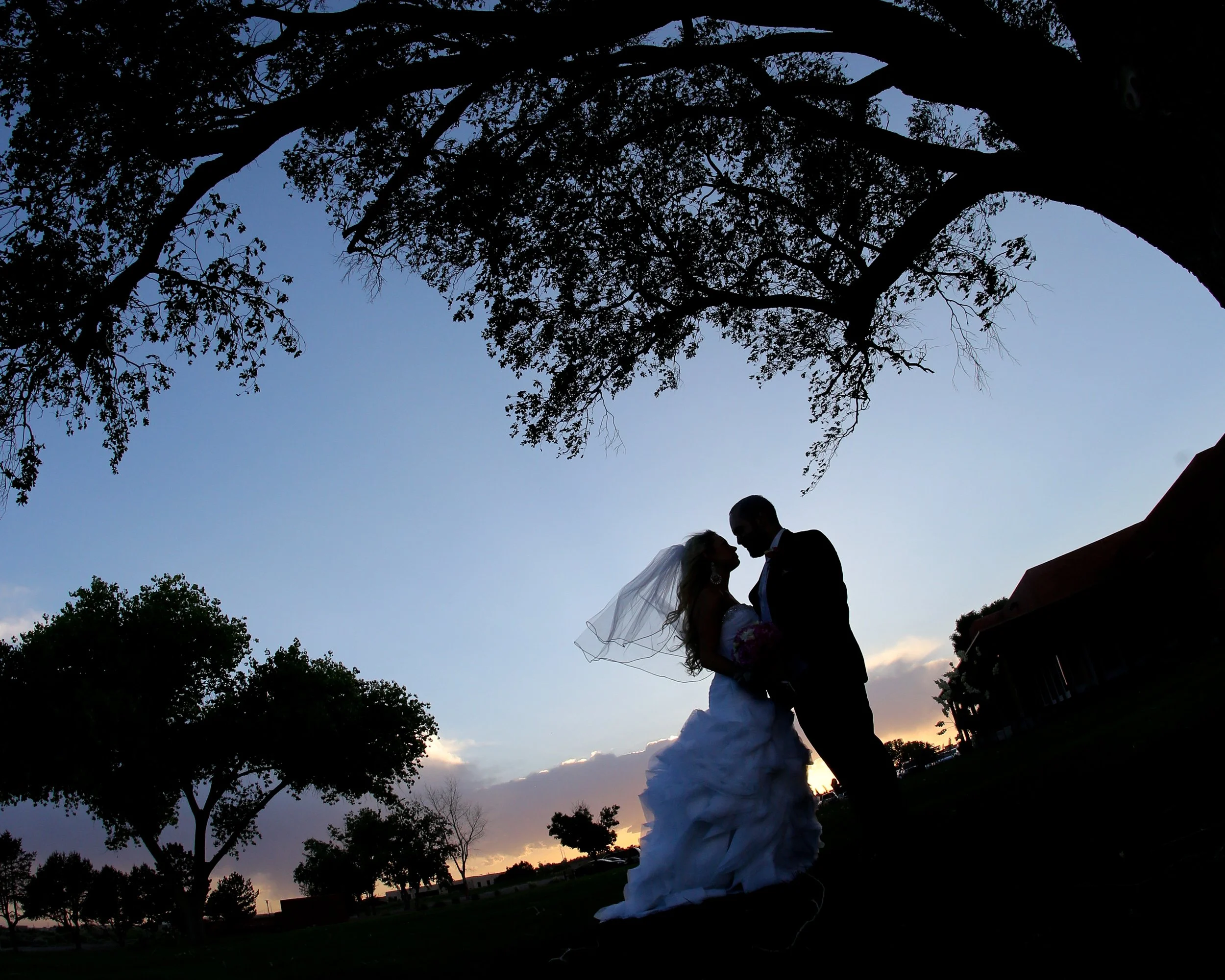 Beautiful silhouette of bride and groom during their wedding at Prairie Star restaurant in Santa Ana New Mexico