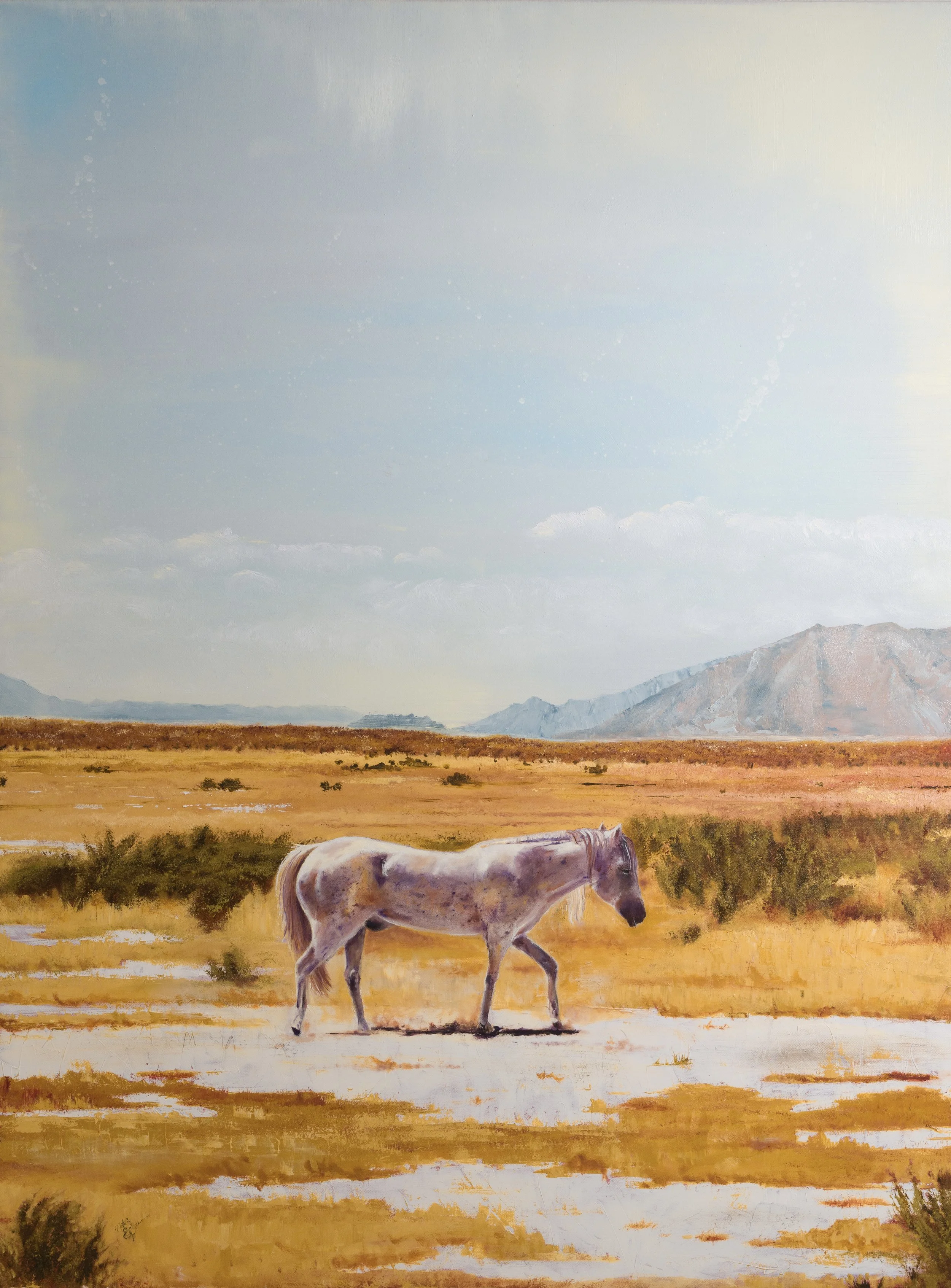 Laura's Desert