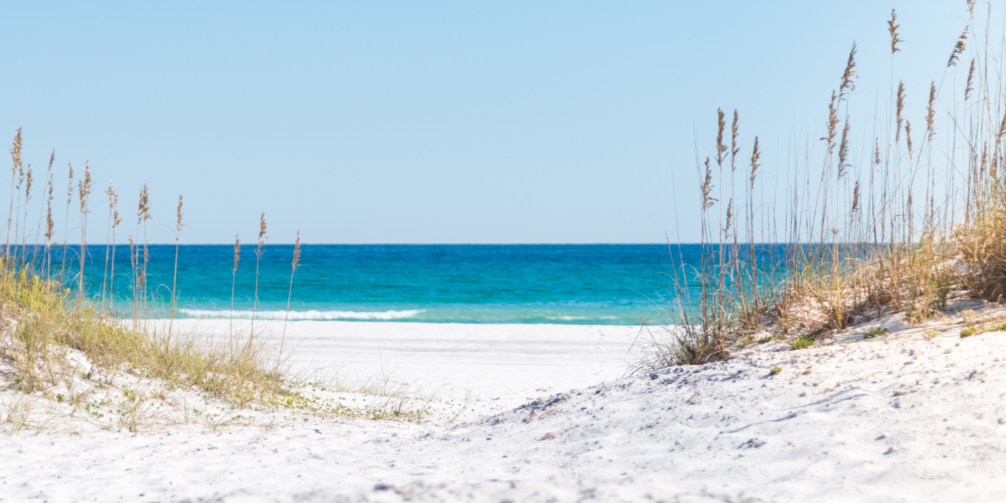Sandy beach with dune grass and ocean waves against a clear blue sky.