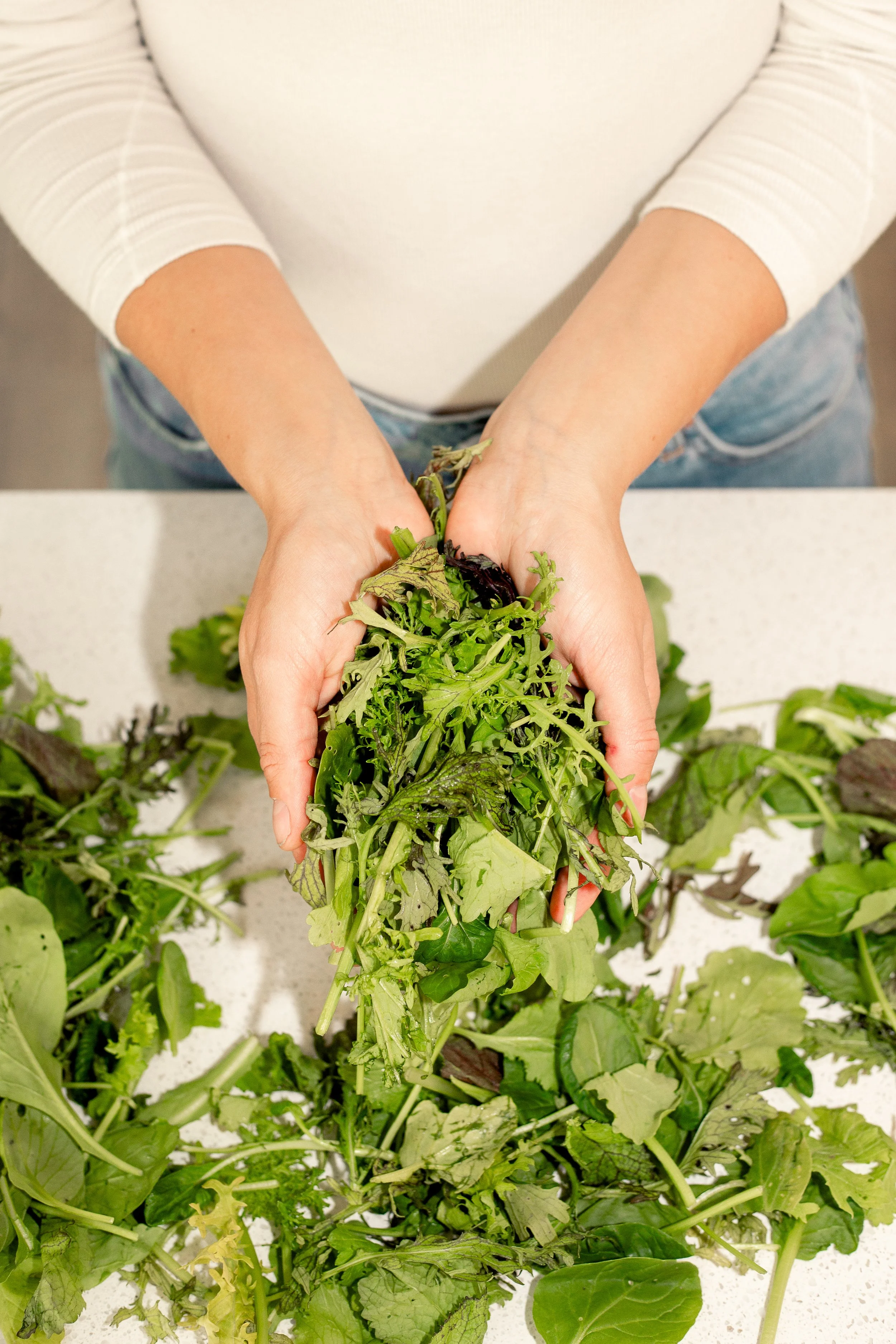 Person holding a bunch of fresh mixed salad greens over a table with more greens scattered around.