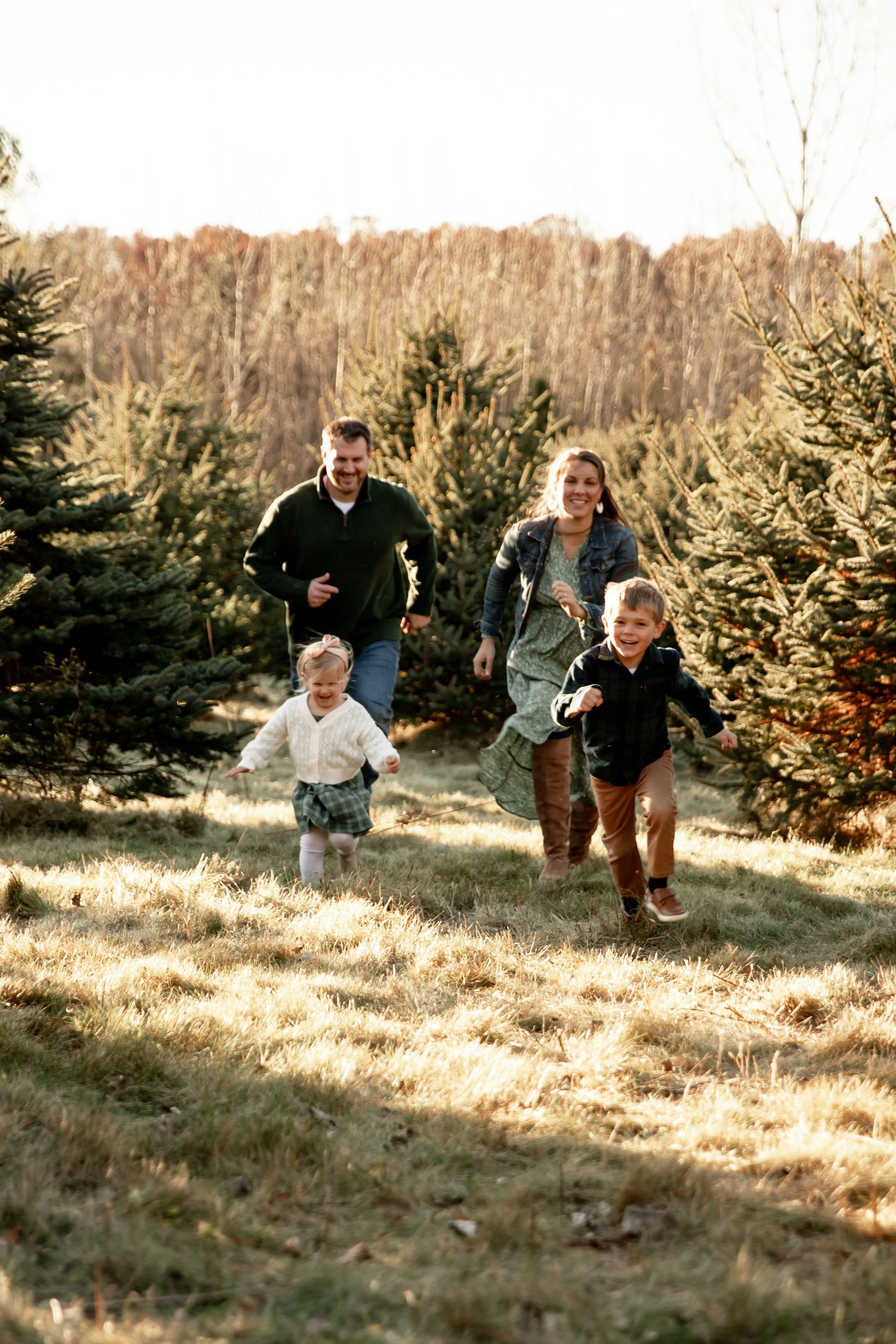 A family of four running through a Christmas tree farm with evergreen trees on a sunny day.