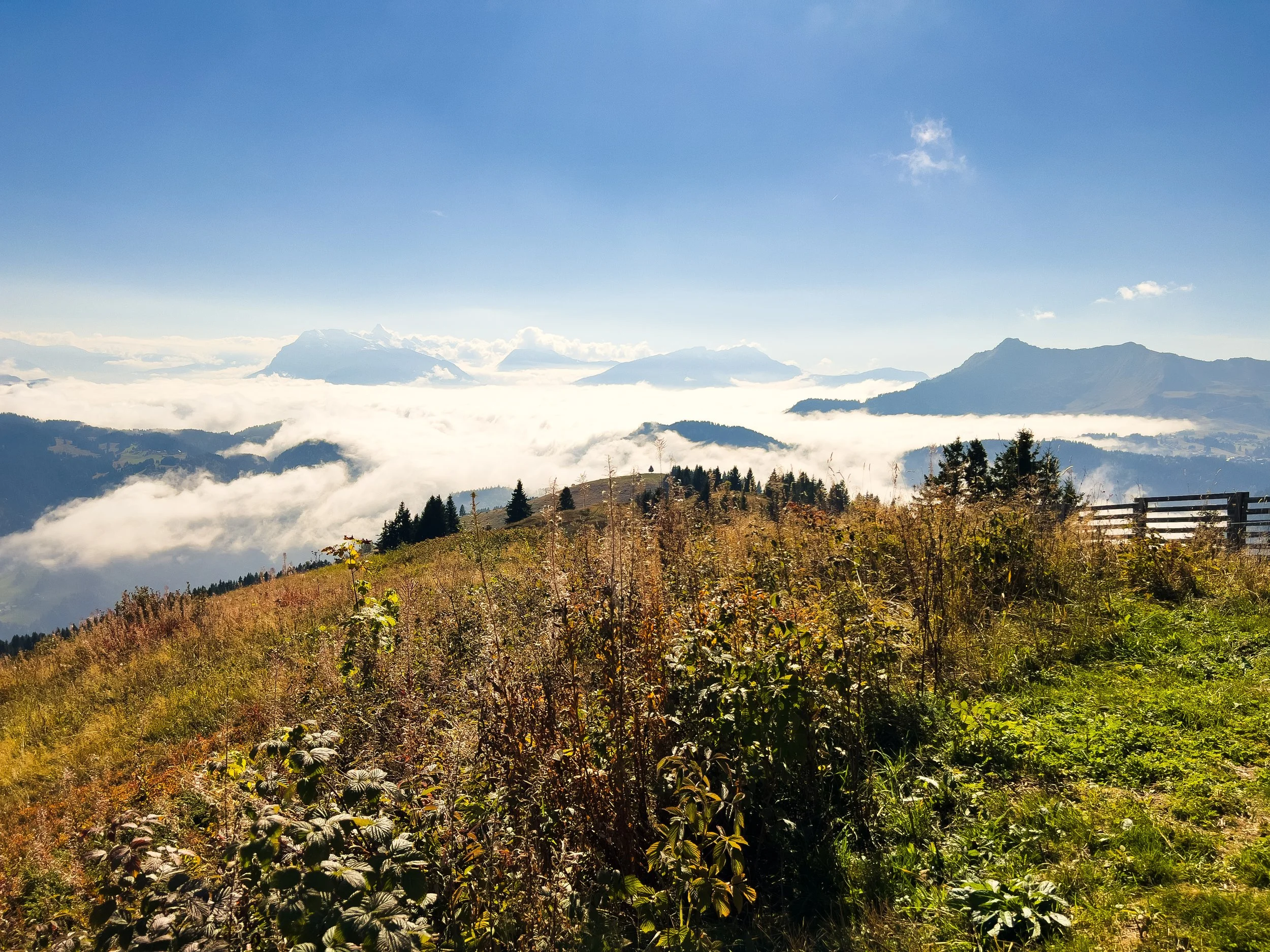 Panoramic mountain views in Les Gets, French Alps – year-round Alpine escape.