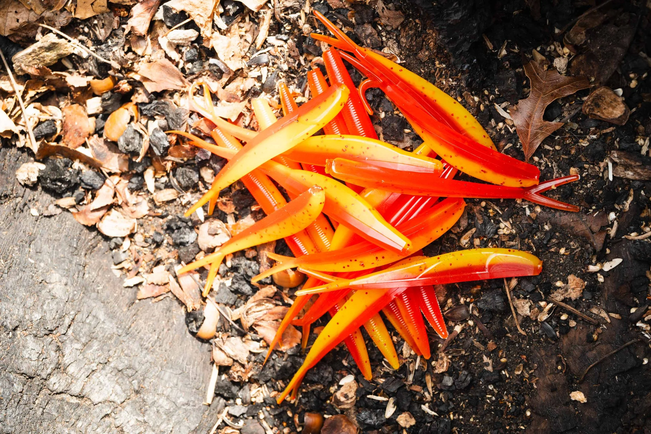 Baits & Tackle Creek 2.jpg