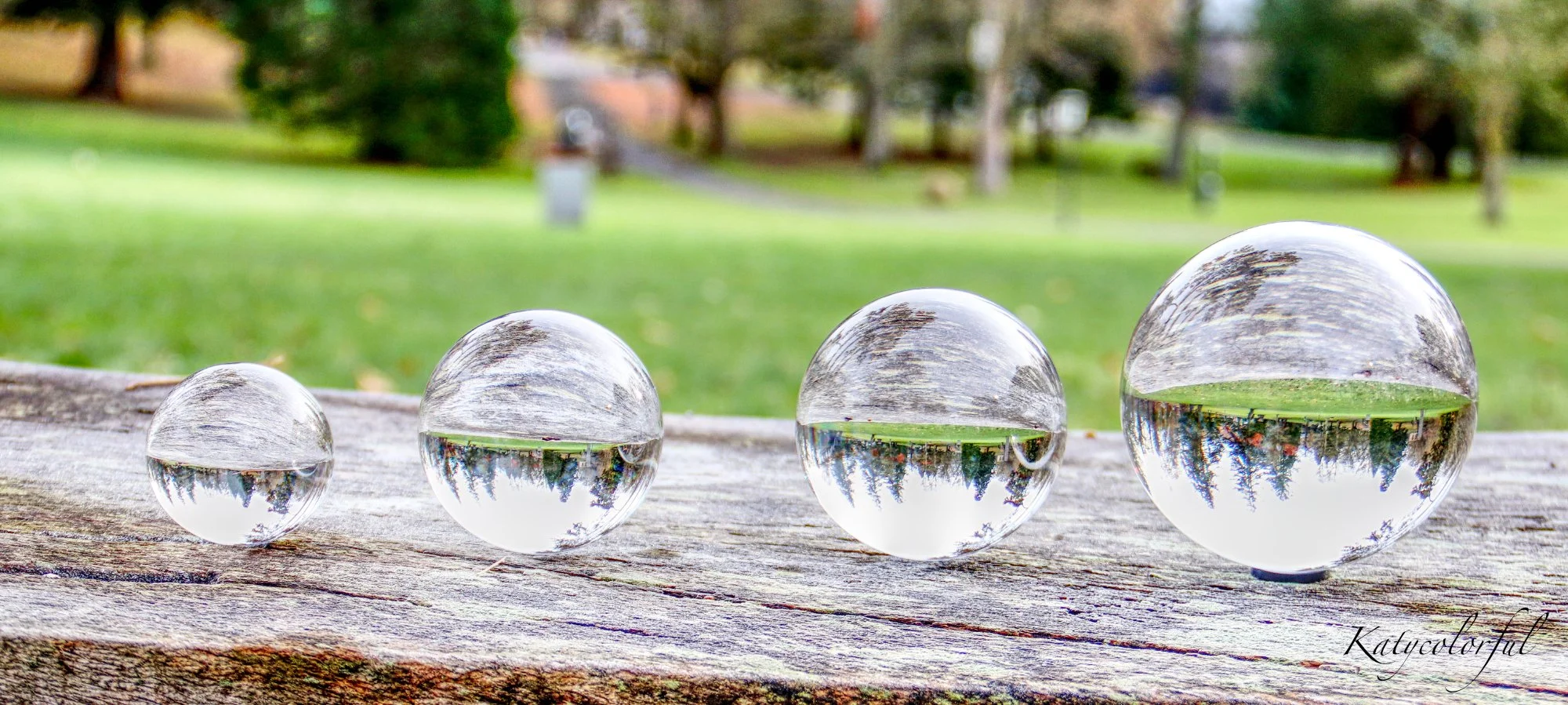 Vier Glaskugeln unterschiedlicher Größe auf einer Holzbank im Freien, die den Park und Bäume spiegeln.
