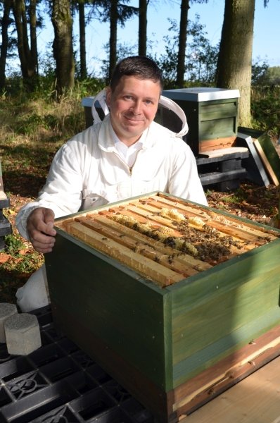 Mann in Weiß arbeitet mit einem Bienenstock in einem Wald.