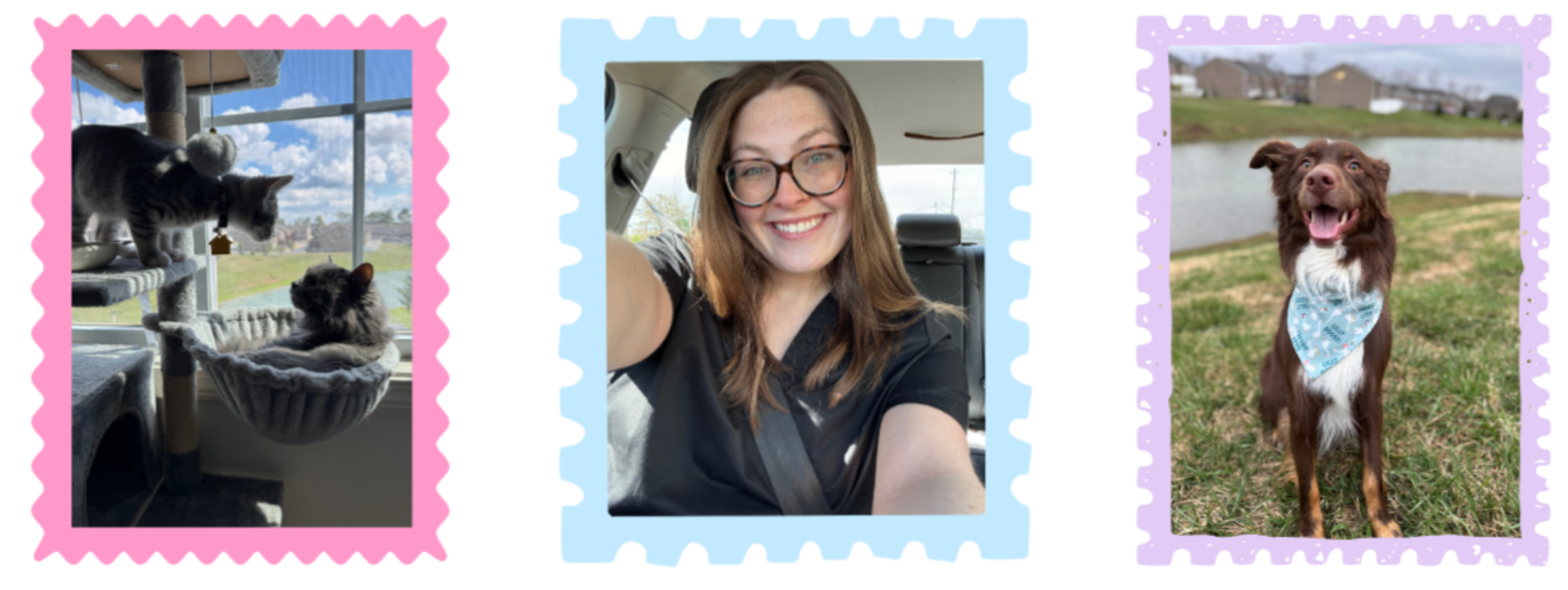 Collage of three images: First image shows two cats on a cat tree near a window; second image is a woman with glasses smiling inside a car; third image is a brown dog with a bandana sitting outside near a pond.