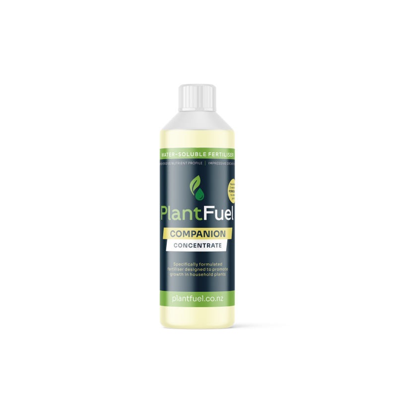 Companion - Concentrate 500ml