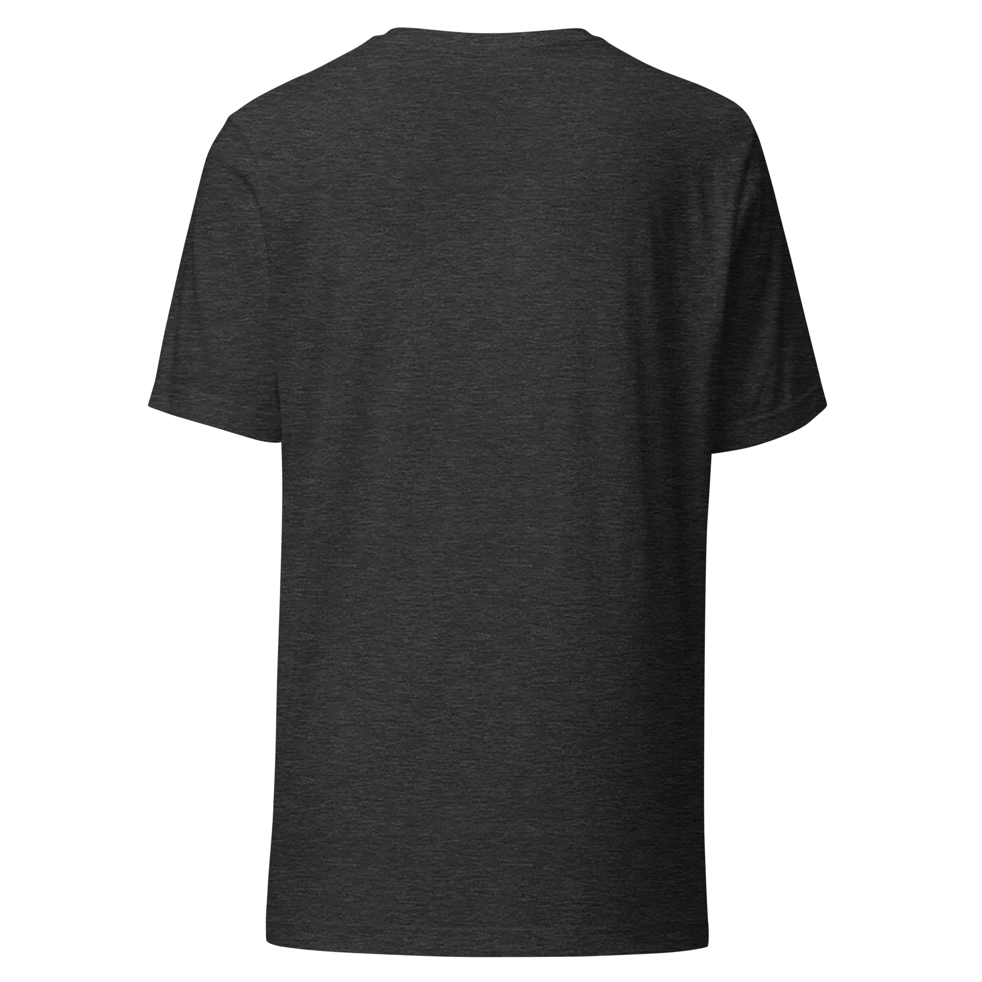 unisex-staple-t-shirt-dark-grey-heather-back-6a85fb342953e.png