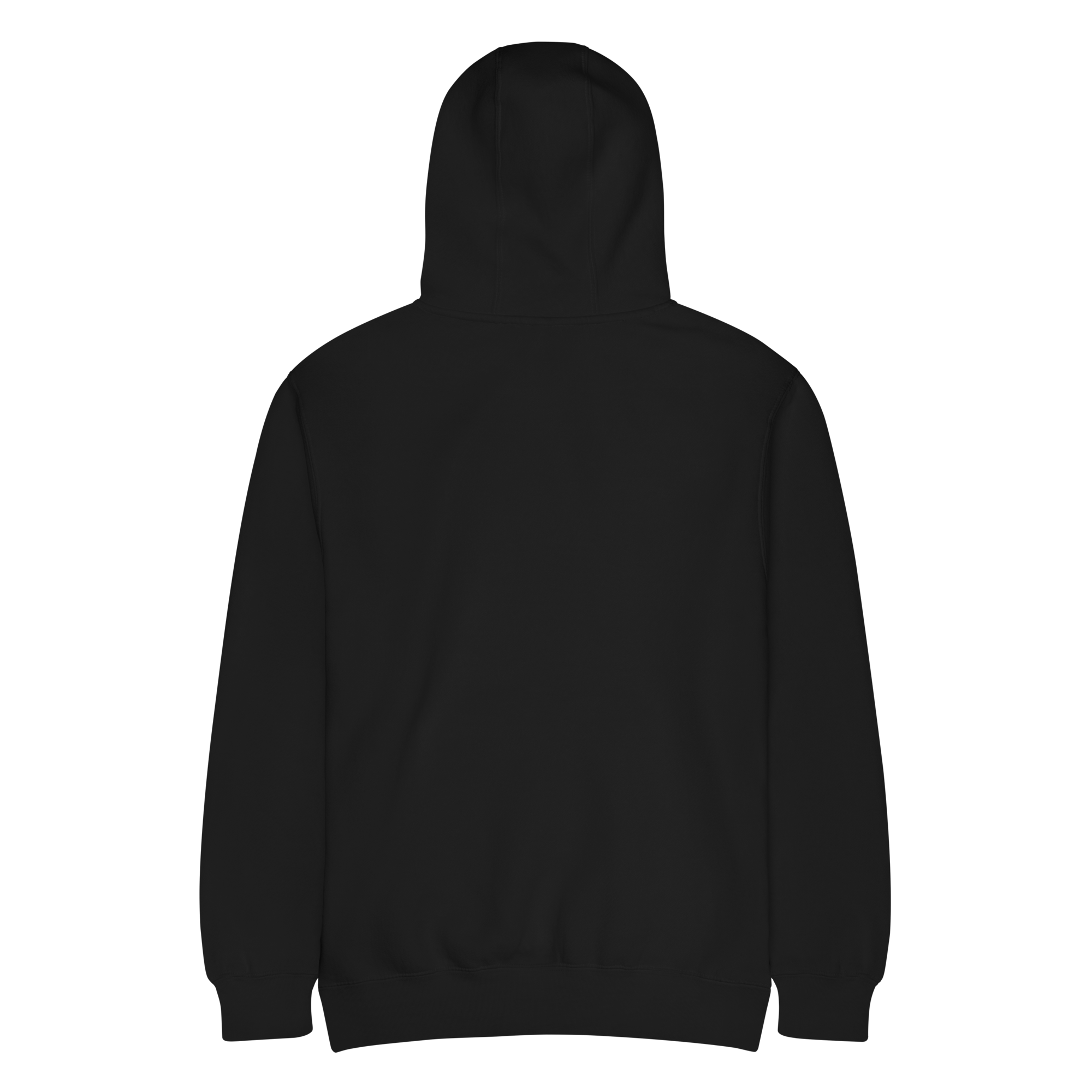 unisex-premium-mid-weight-hoodie-black-back-6a61341a505b5.png